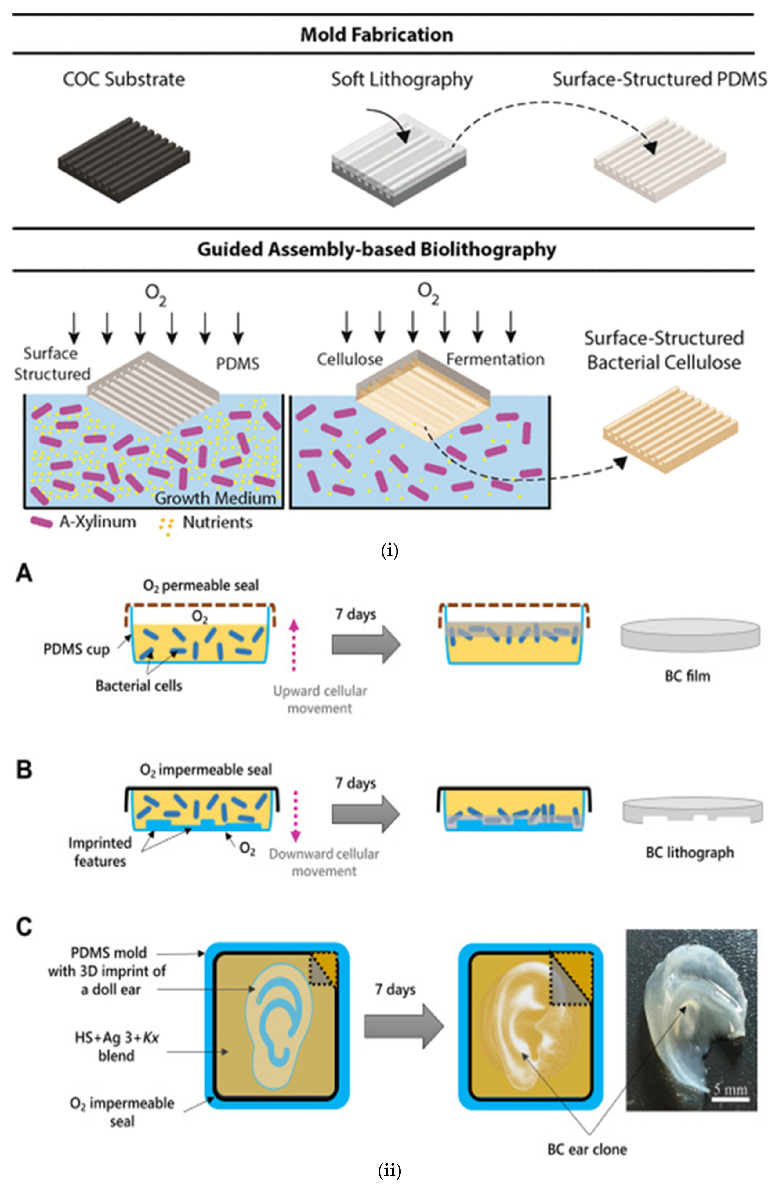 Micro 05 00037 g005a