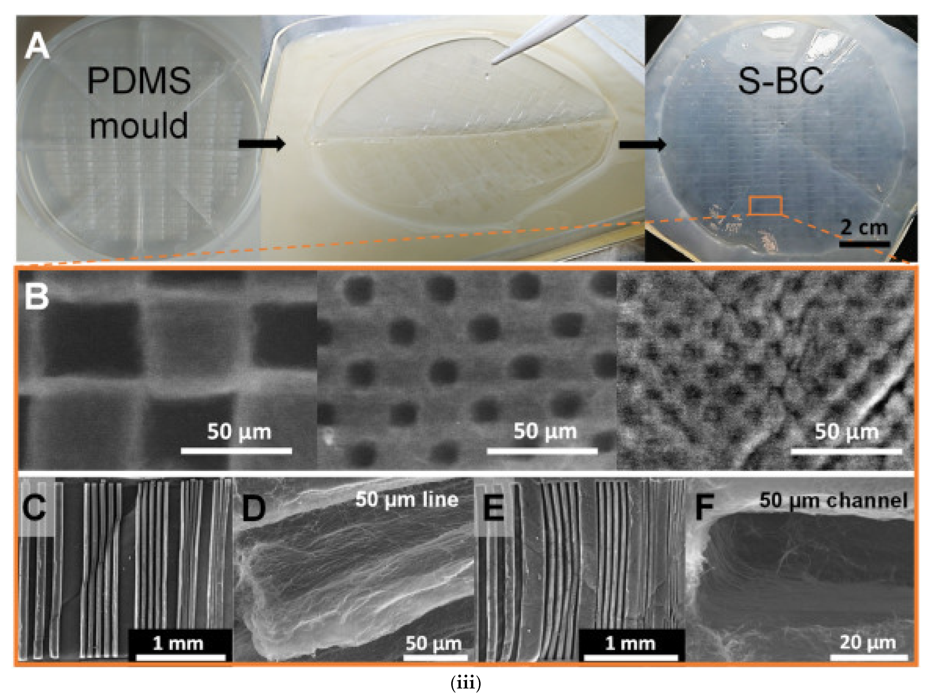 Micro 05 00037 g005b