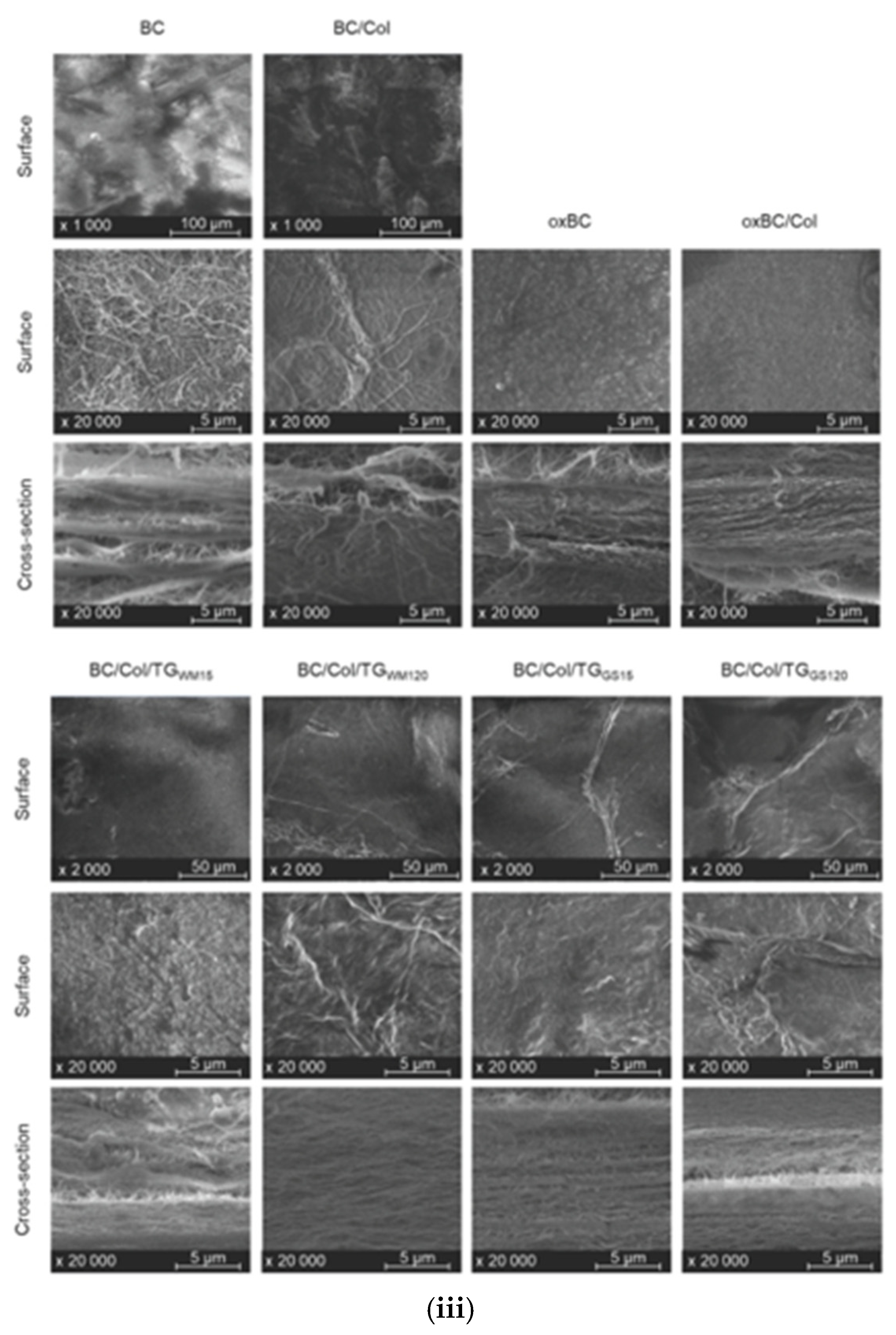 Micro 05 00037 g006b