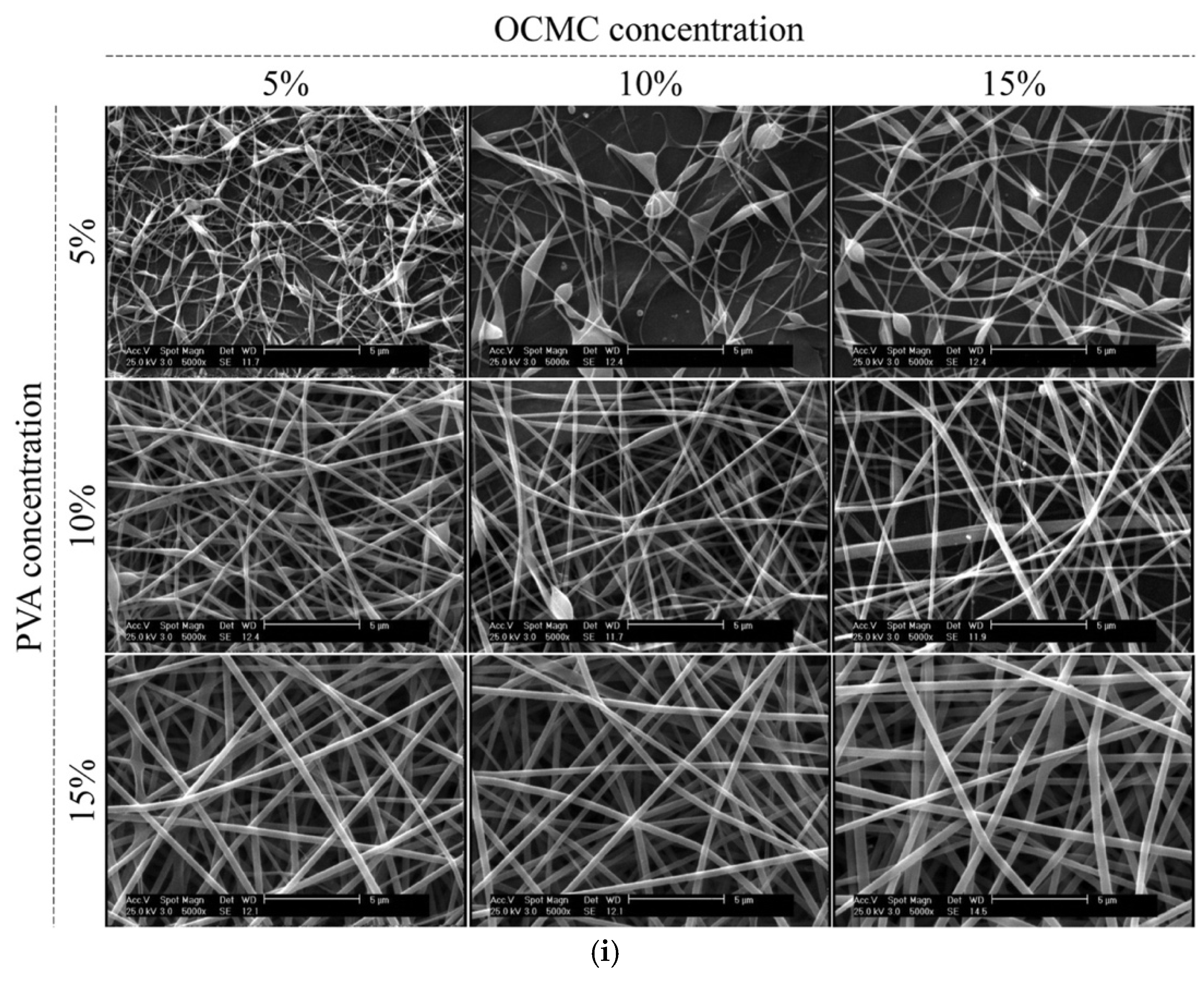 Micro 05 00037 g008a