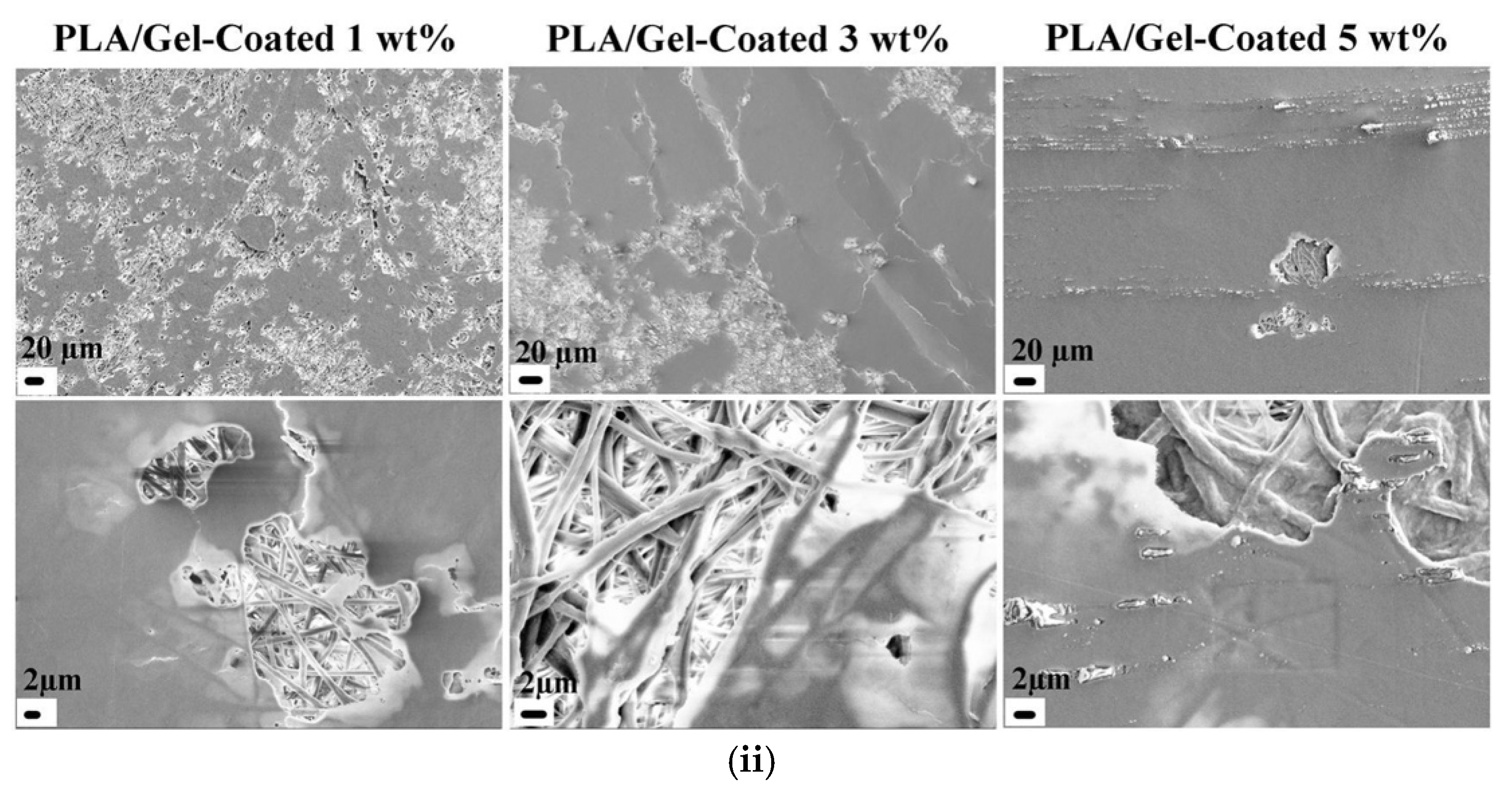Micro 05 00037 g008b