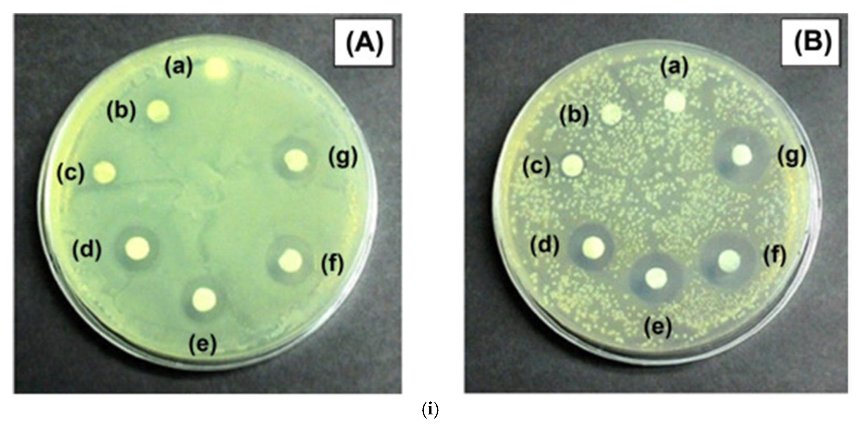 Micro 05 00037 g014a