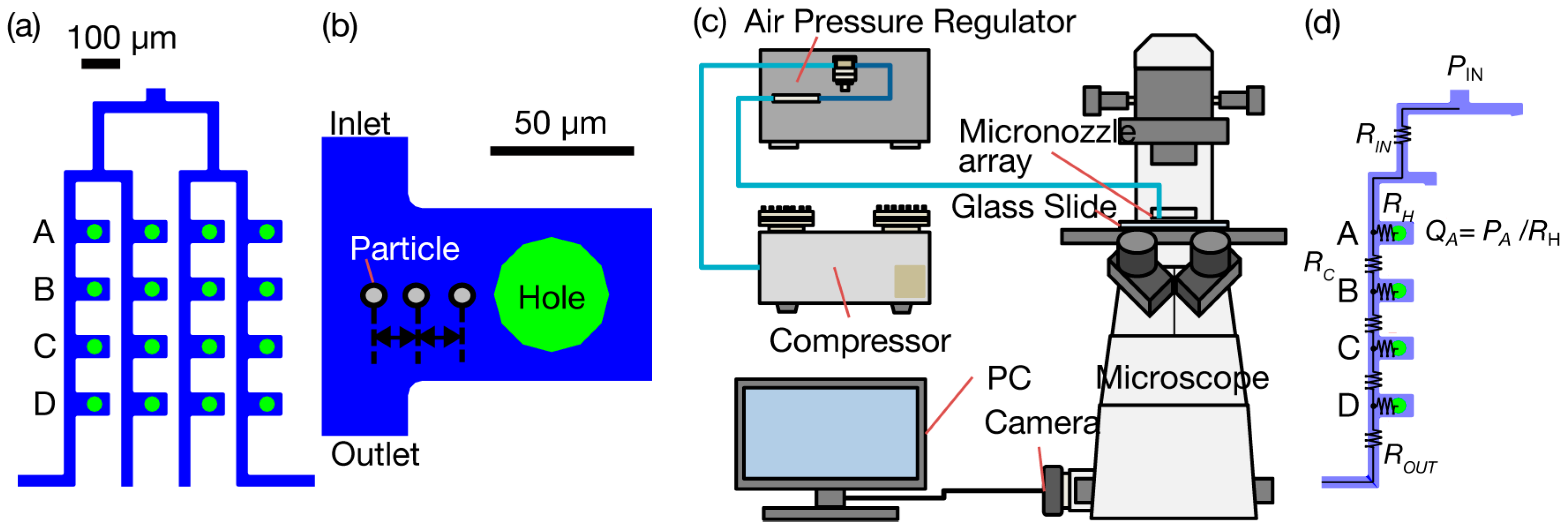 Micro 05 00042 g003 Micro 05 00042 g003
