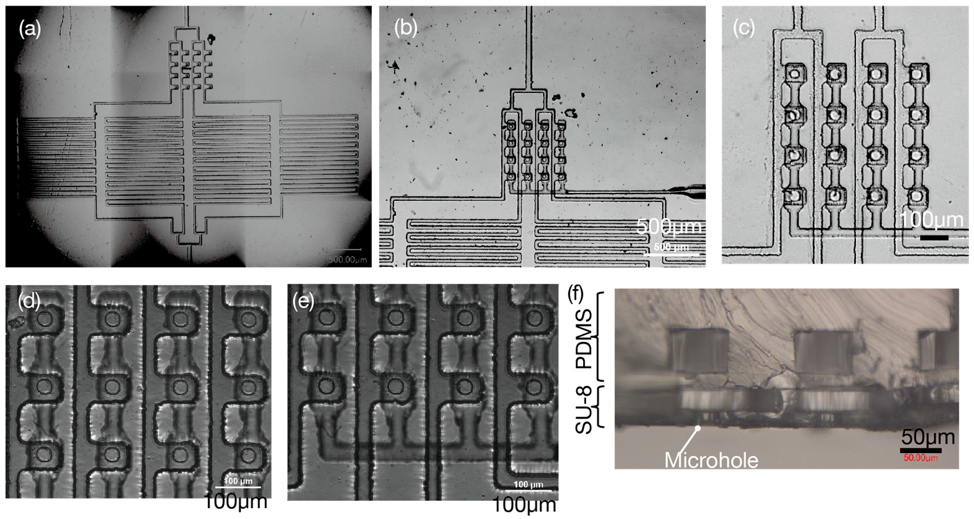 Micro 05 00042 g004 Micro 05 00042 g004