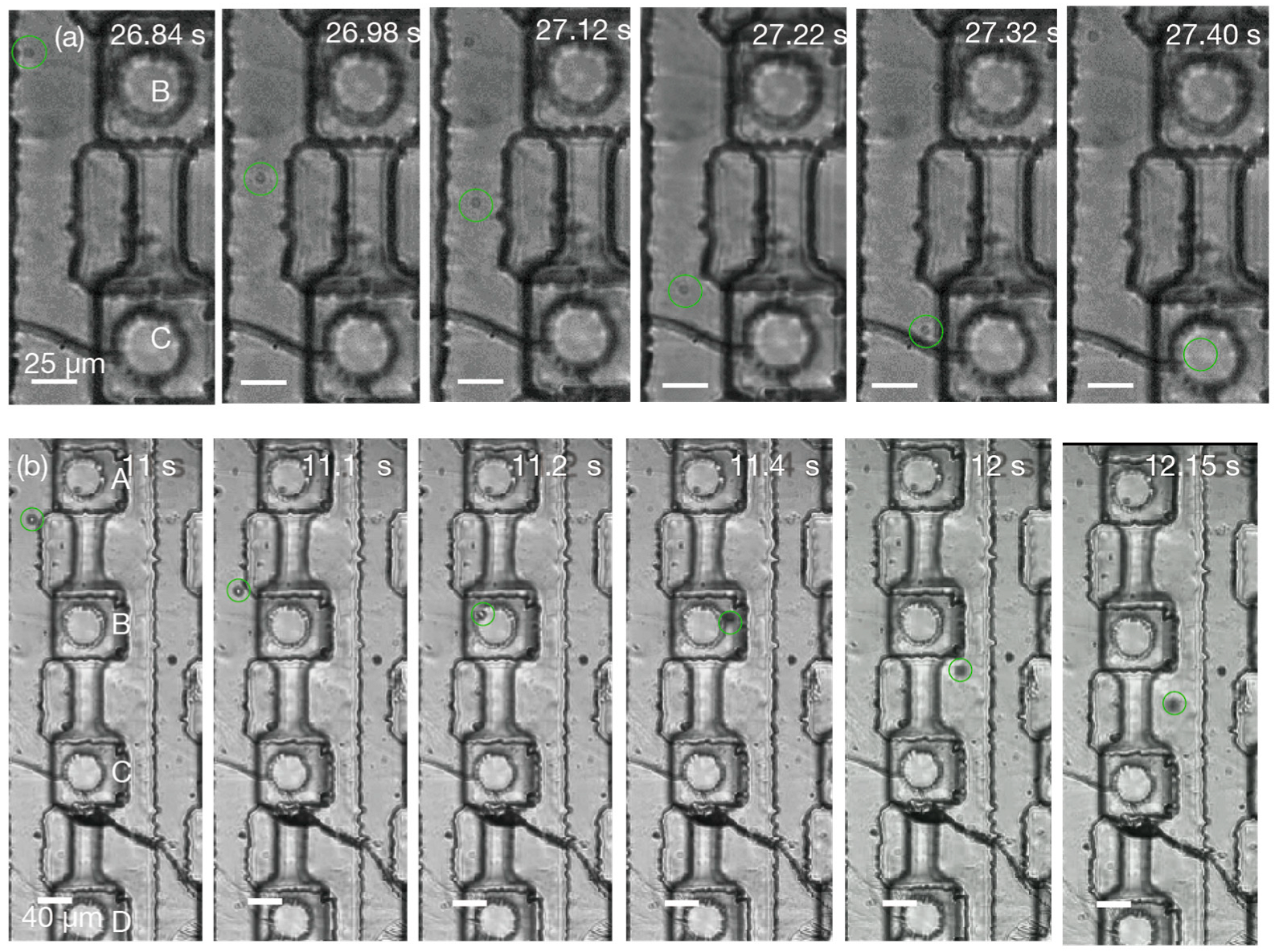 Micro 05 00042 g007 Micro 05 00042 g007