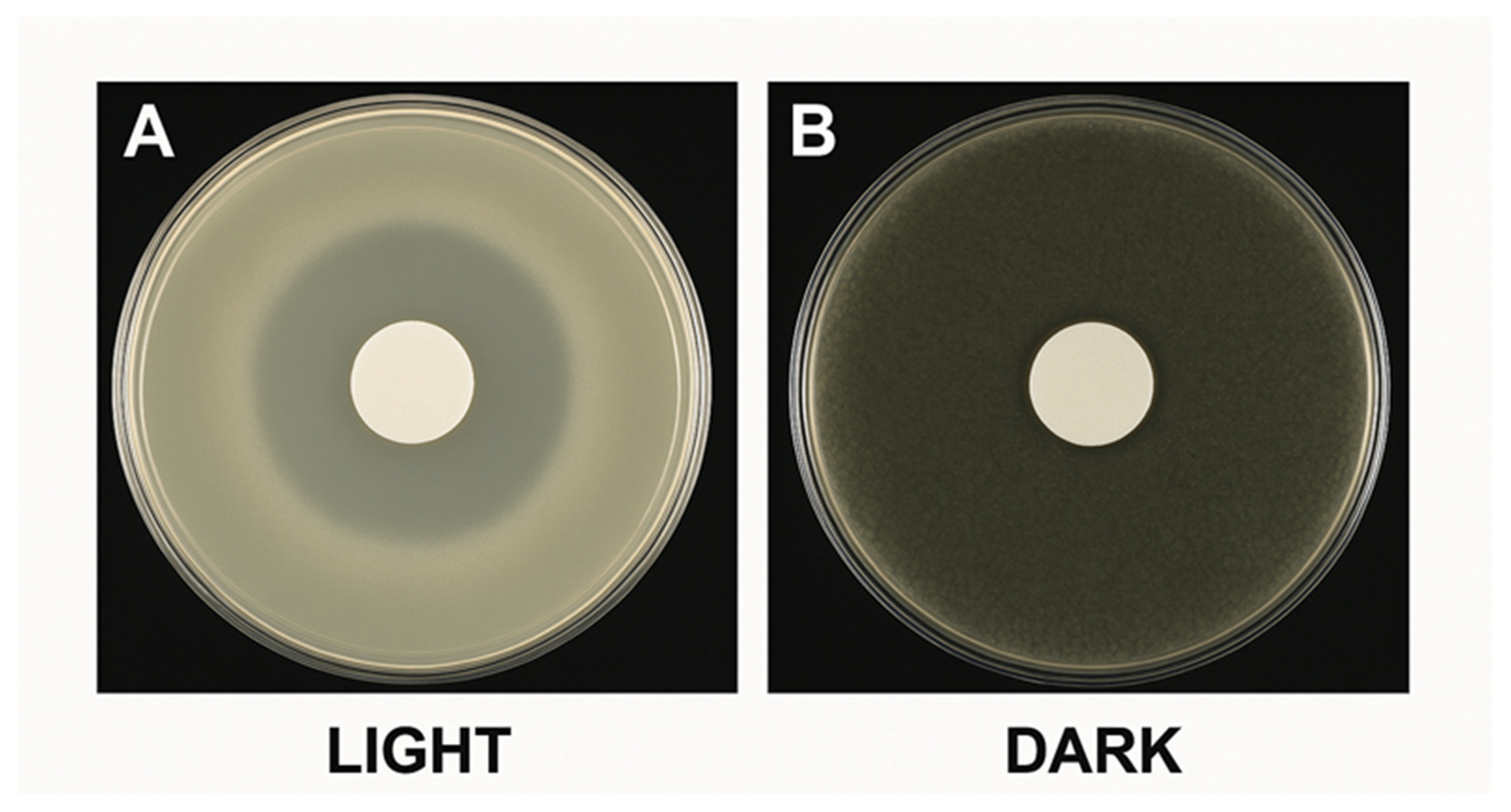 Micro 05 00045 g007 Micro 05 00045 g007