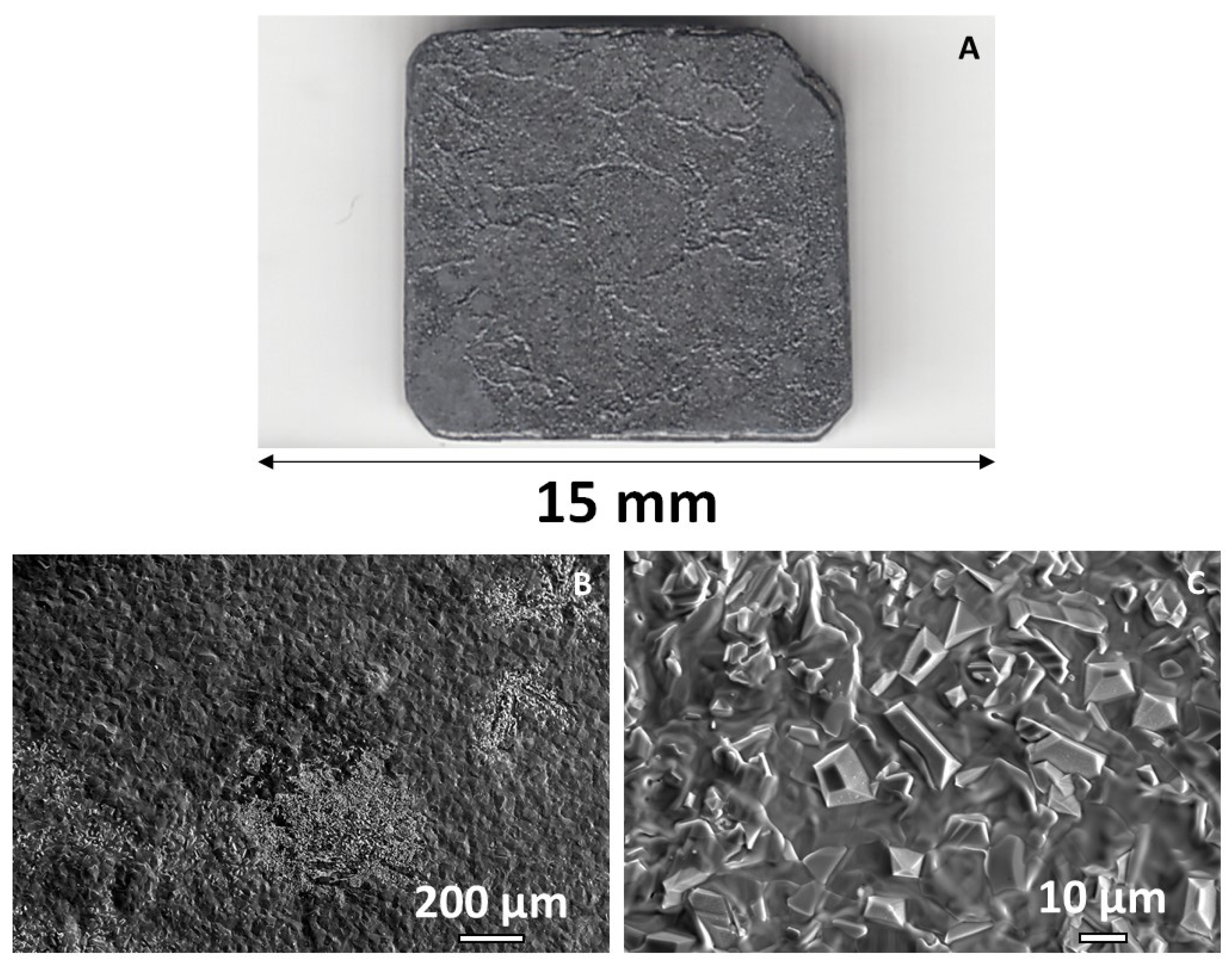 Micro 05 00057 g008