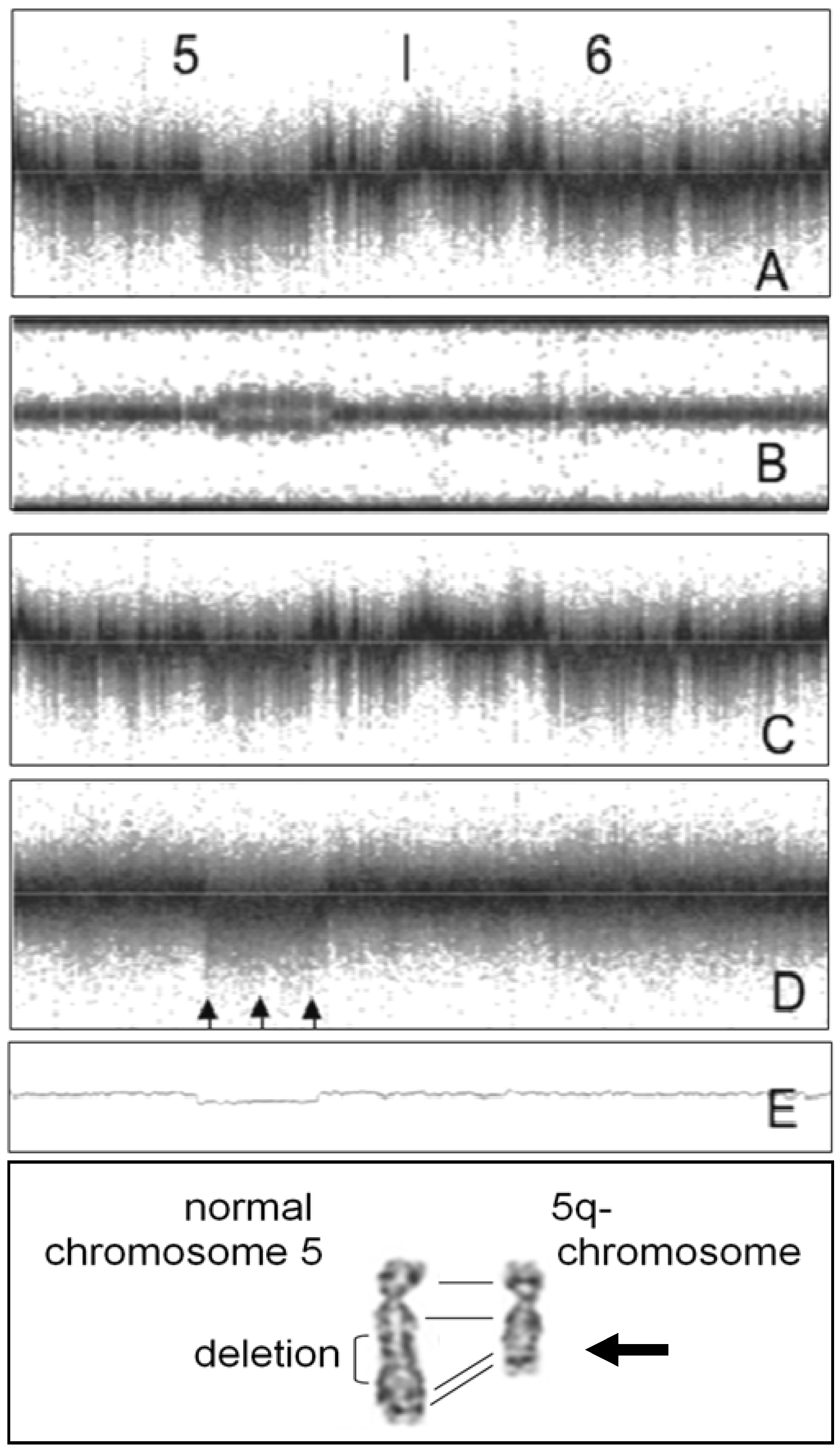 Microarrays 02 00284 g008