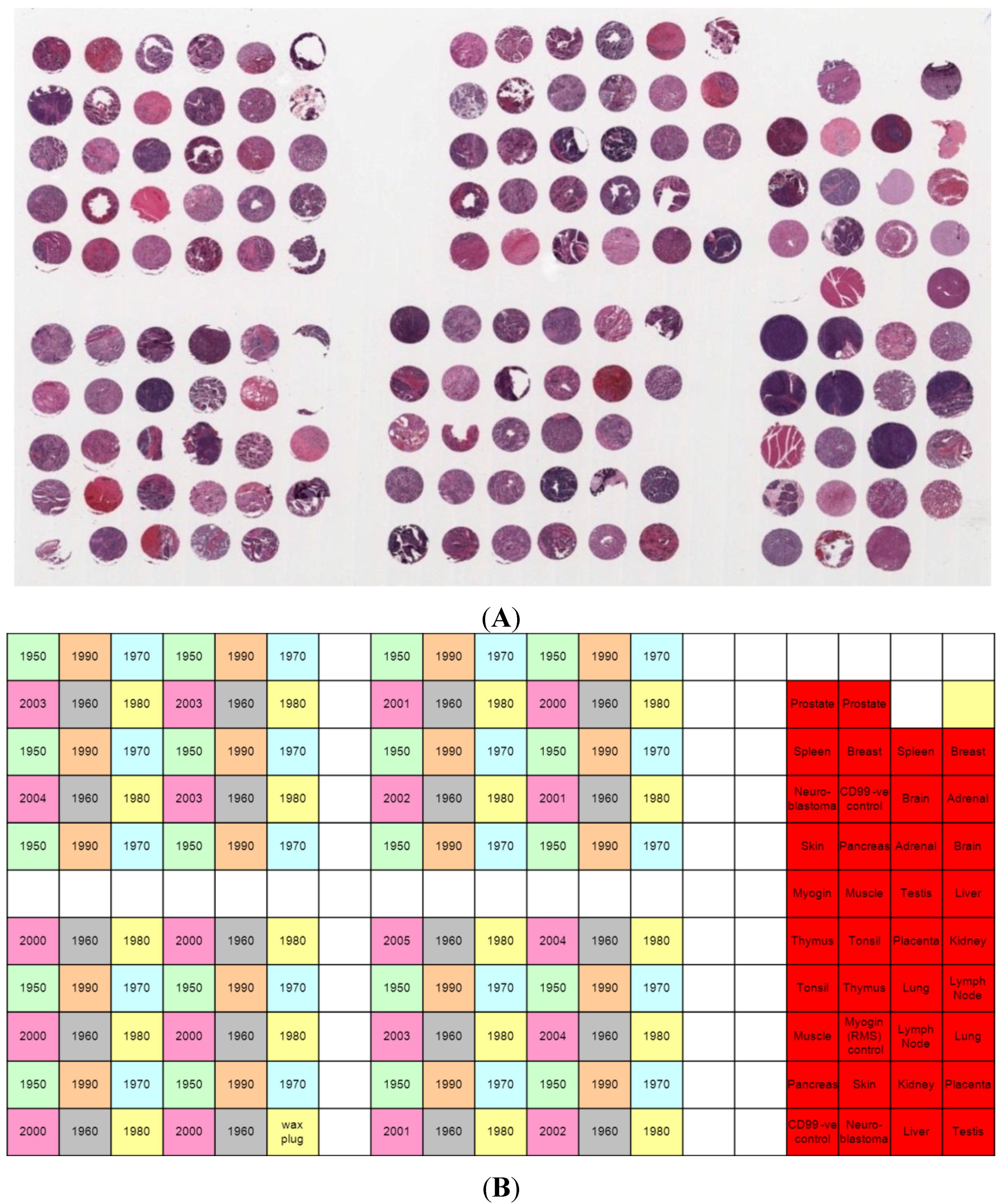 Microarrays 03 00072 g001