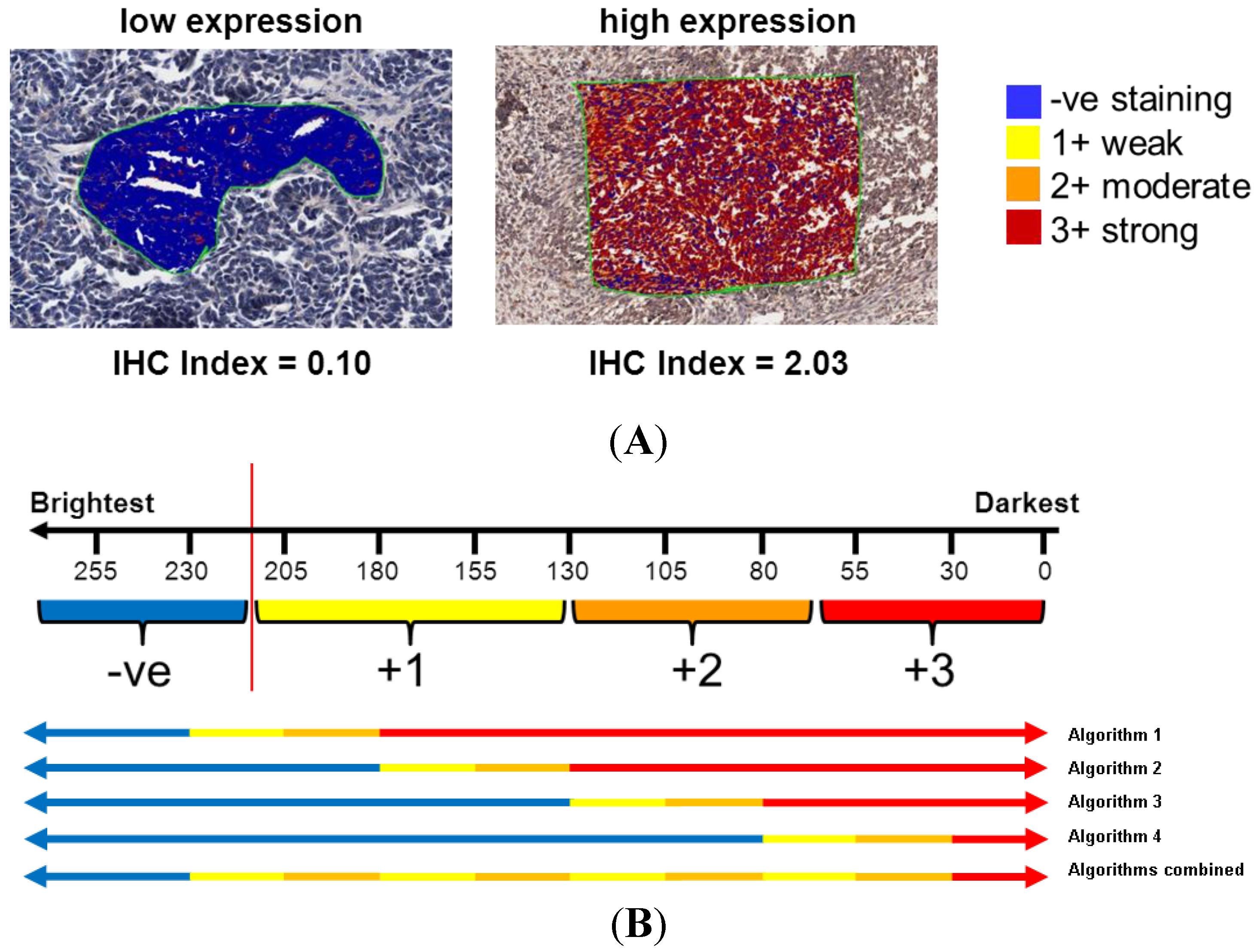 Microarrays 03 00072 g002