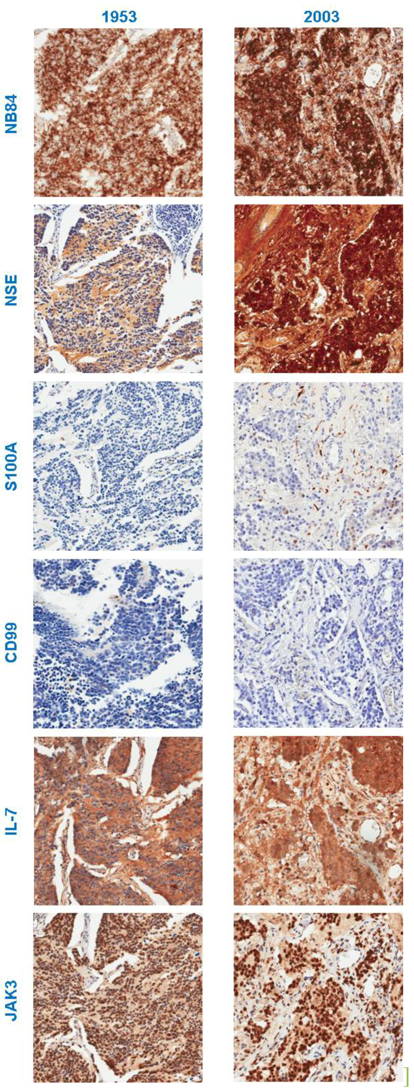 Microarrays 03 00072 g005