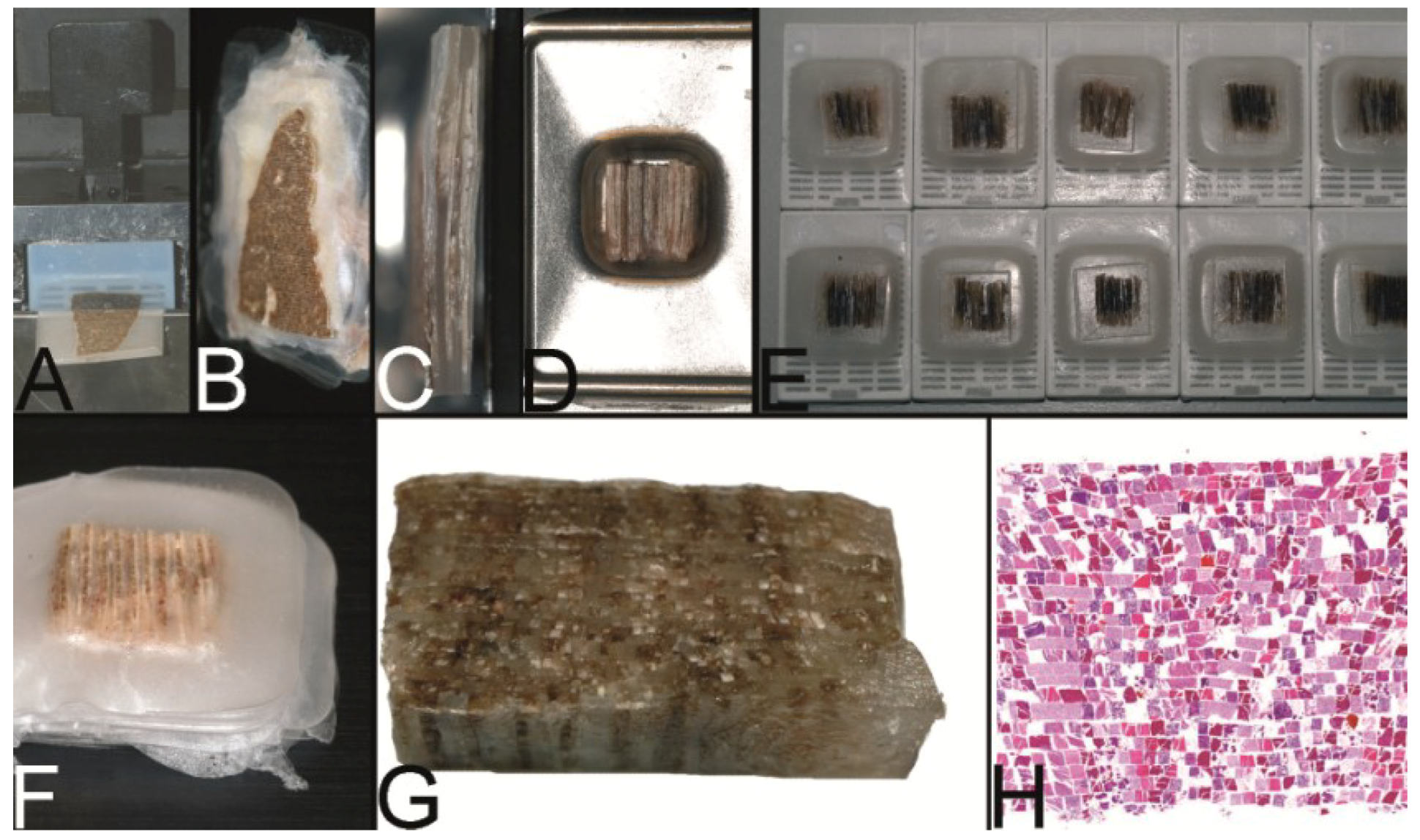 The resulting tissue microarray is covered upside down with melted