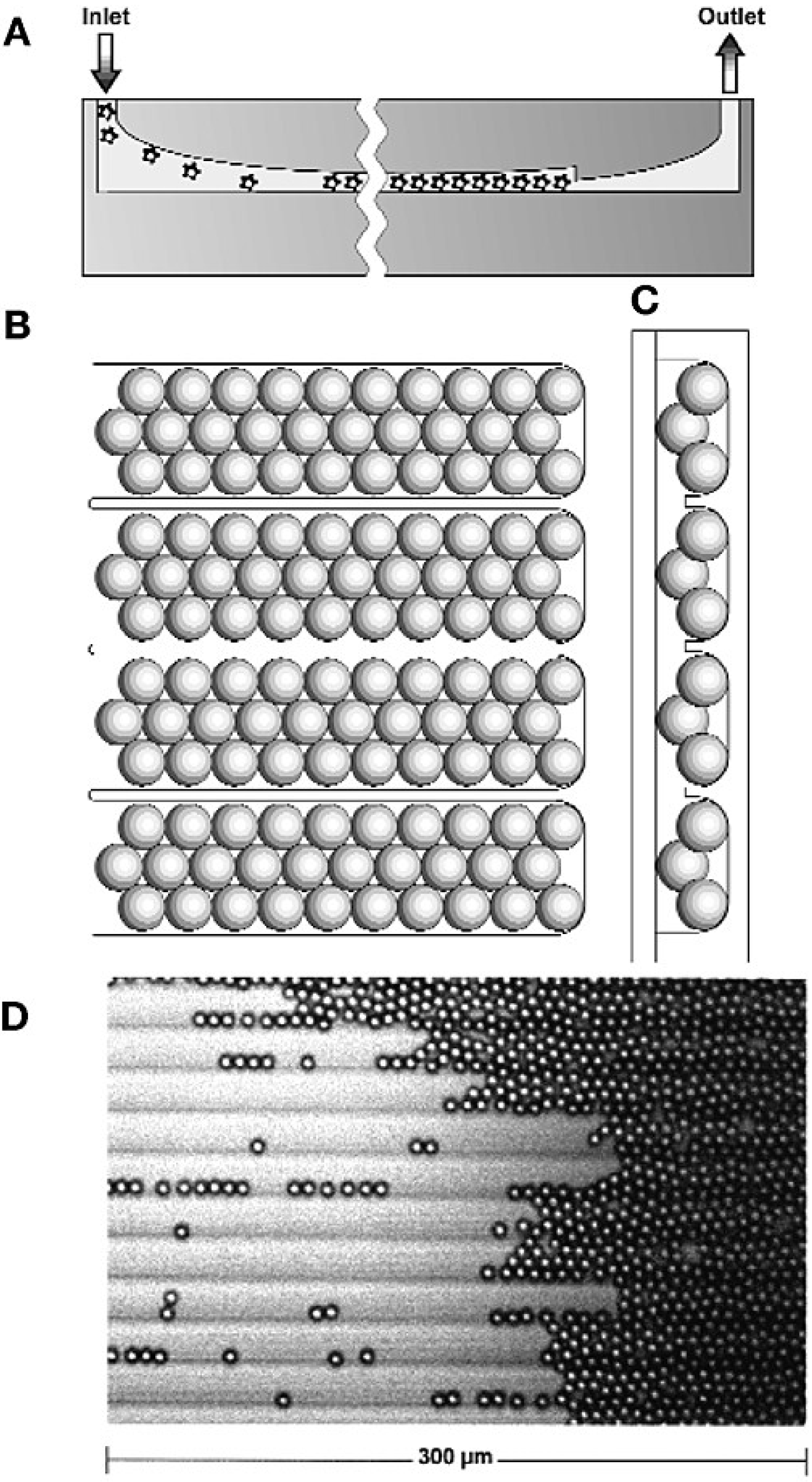 Microarrays 03 00245 g004