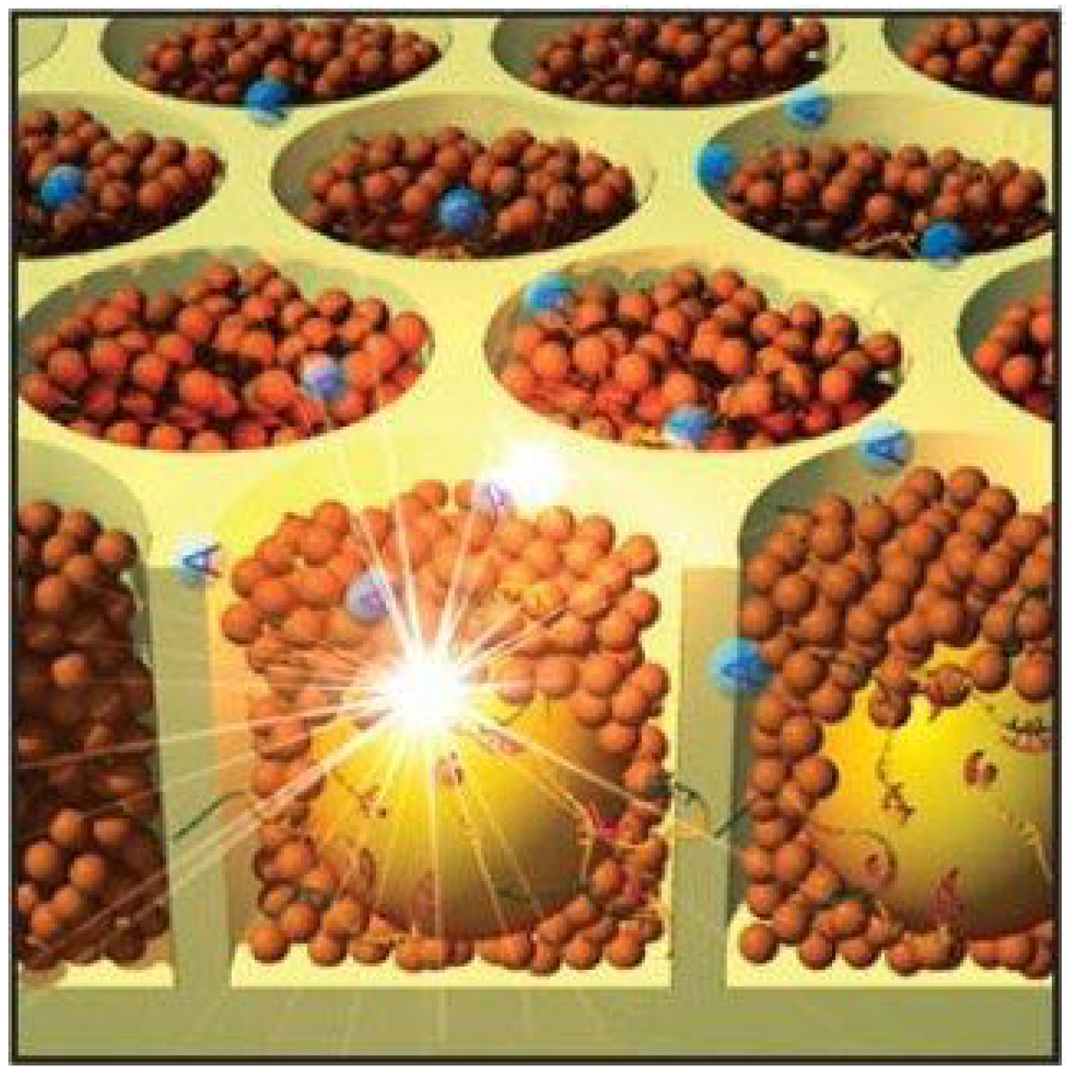 Microarrays 03 00245 g005