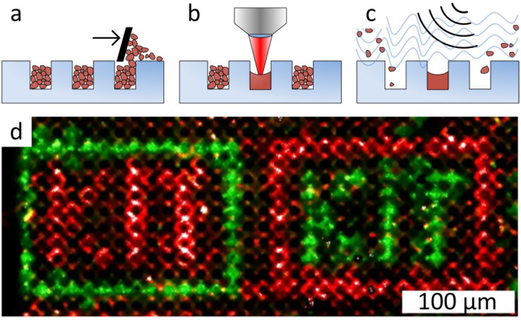 Microarrays 03 00245 g009