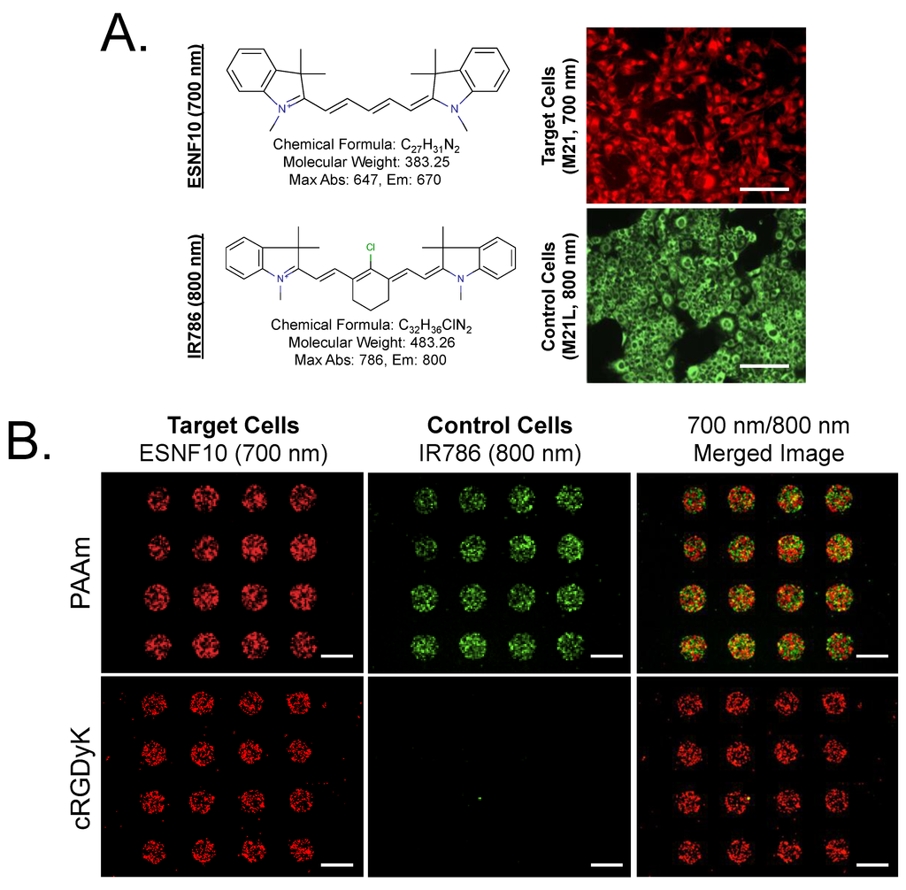 List 92+ Pictures What Colors Are Used In A Dna Microarray Updated