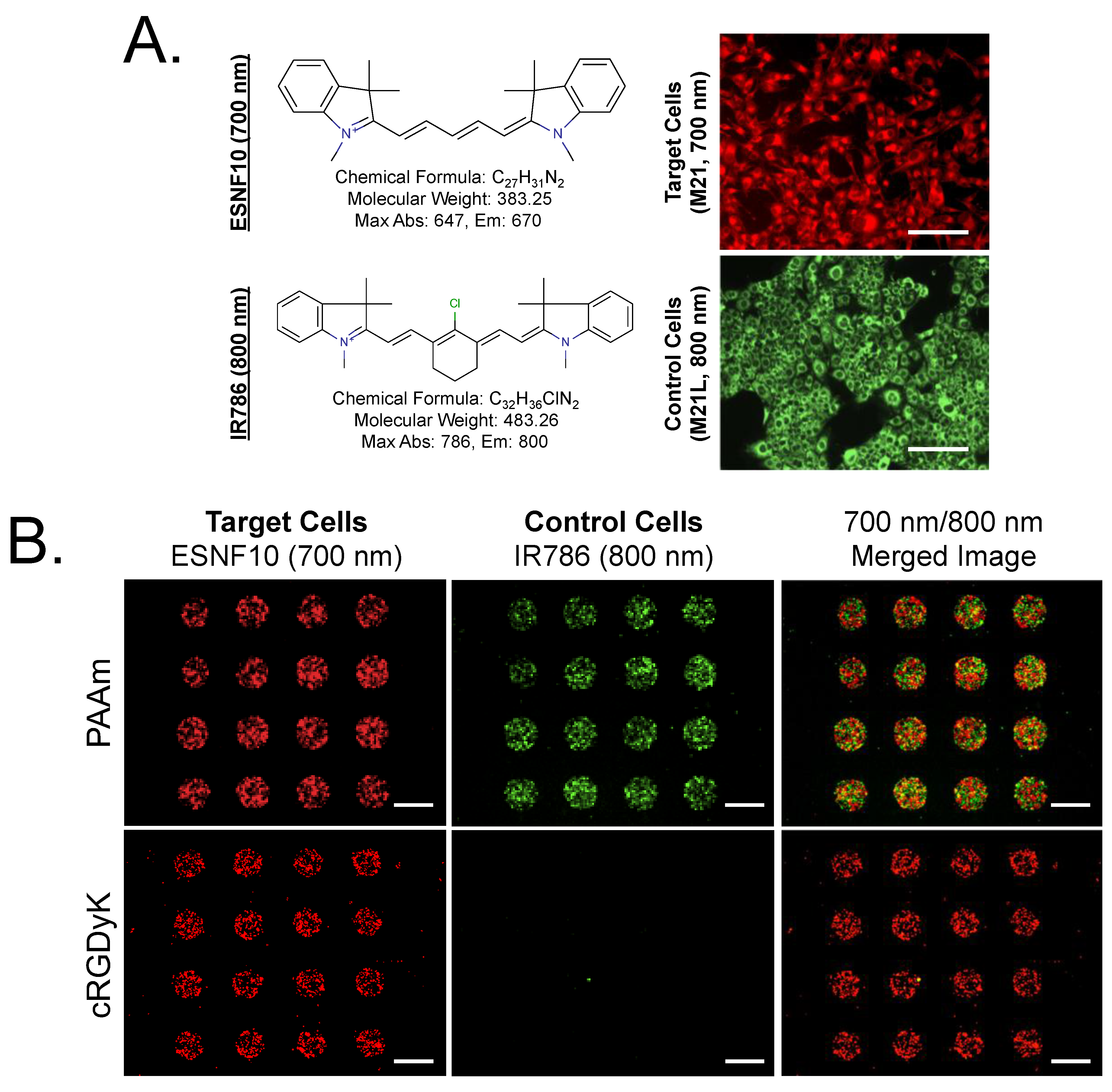 Microarrays 04 00053 g001
