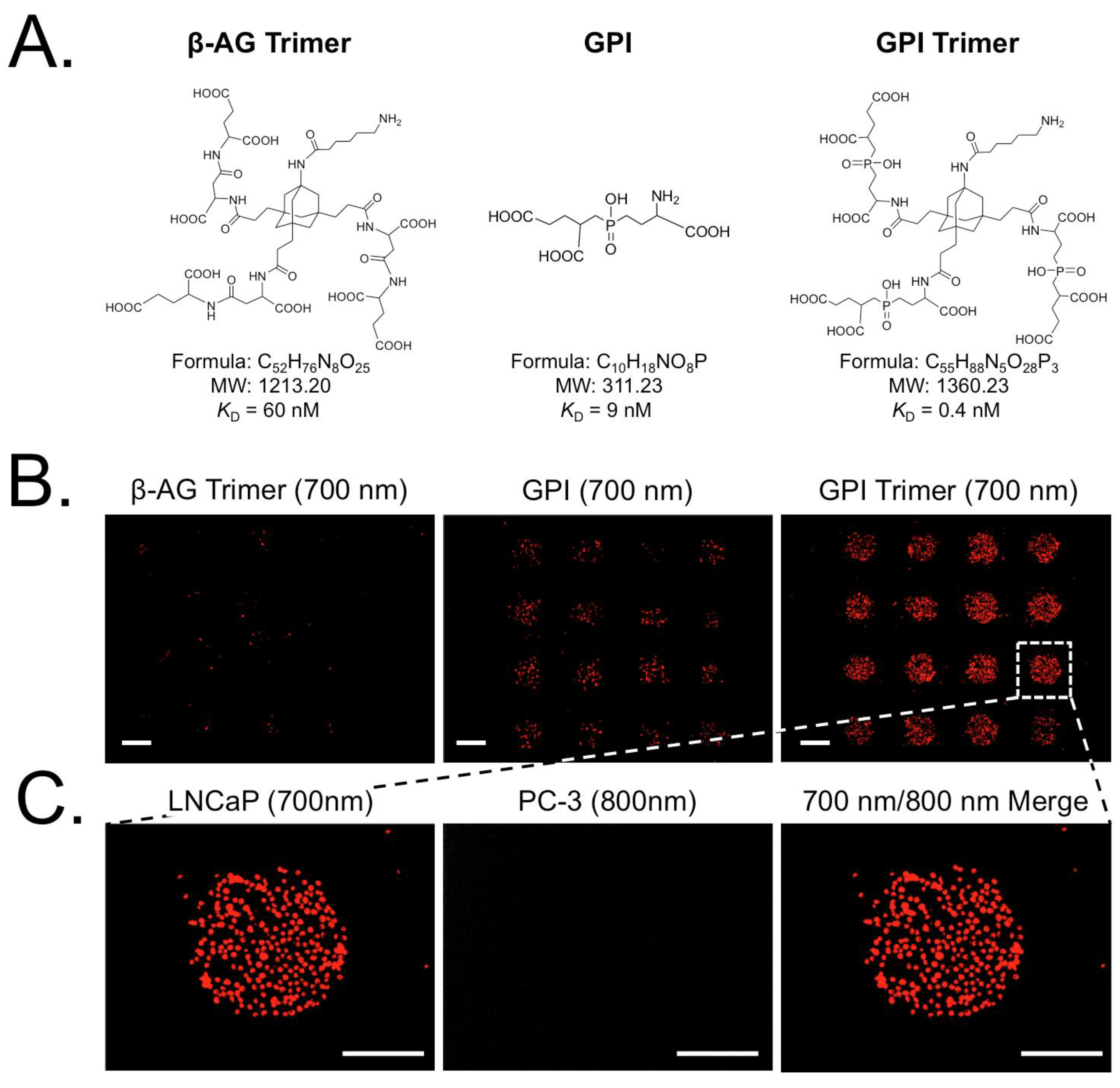 Microarrays 04 00053 g004