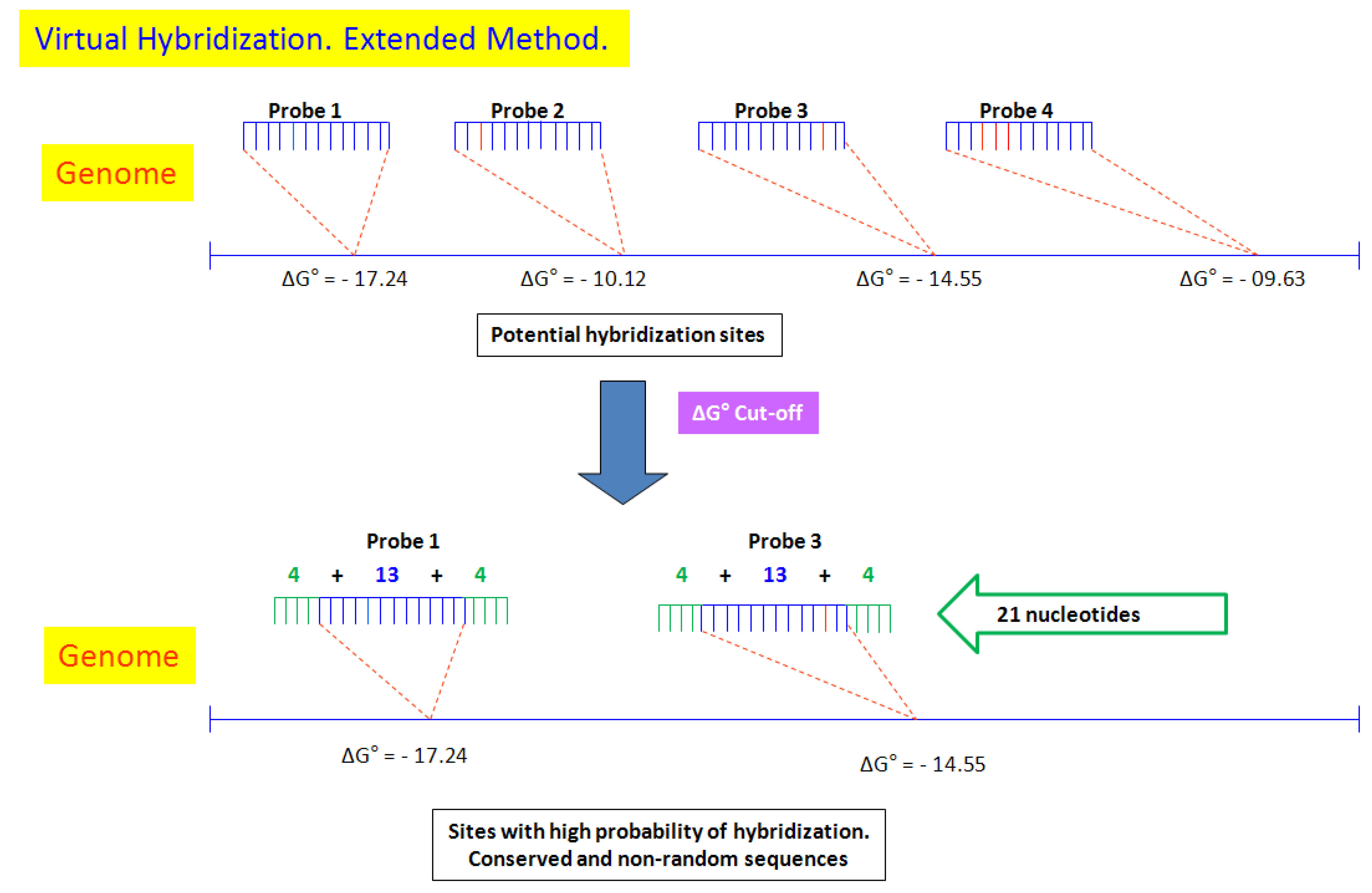 Microarrays 04 00084 g002 1024