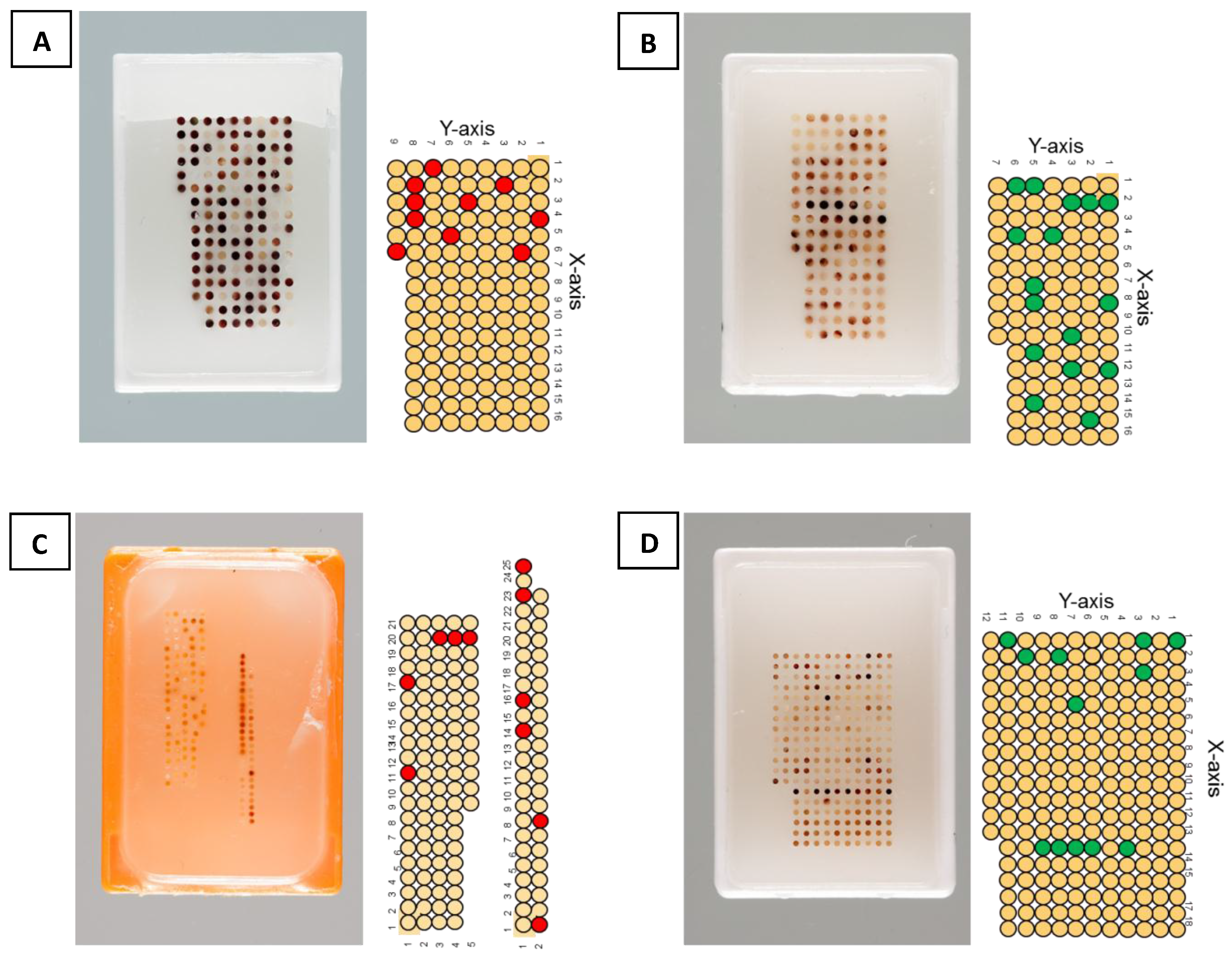 Microarrays 04 00245 g001 1024