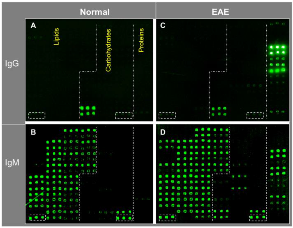 Microarrays 04 00618 g003 1024