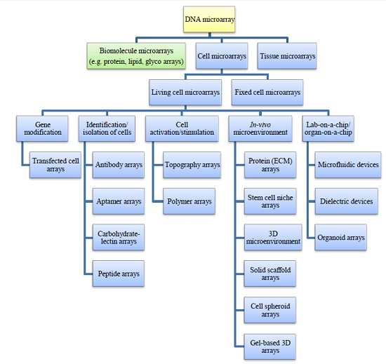 mdpi