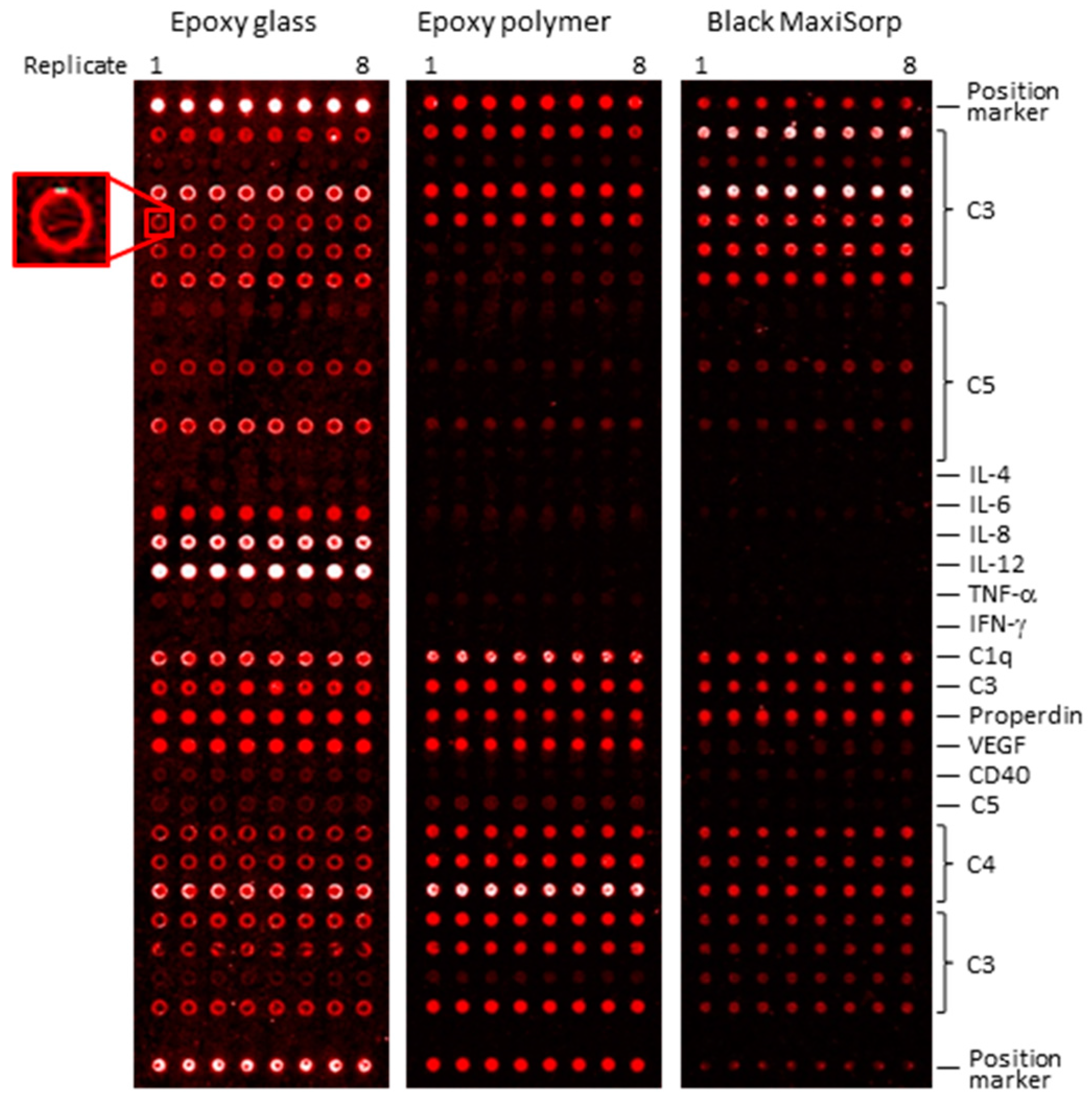Microarrays 05 00016 g004