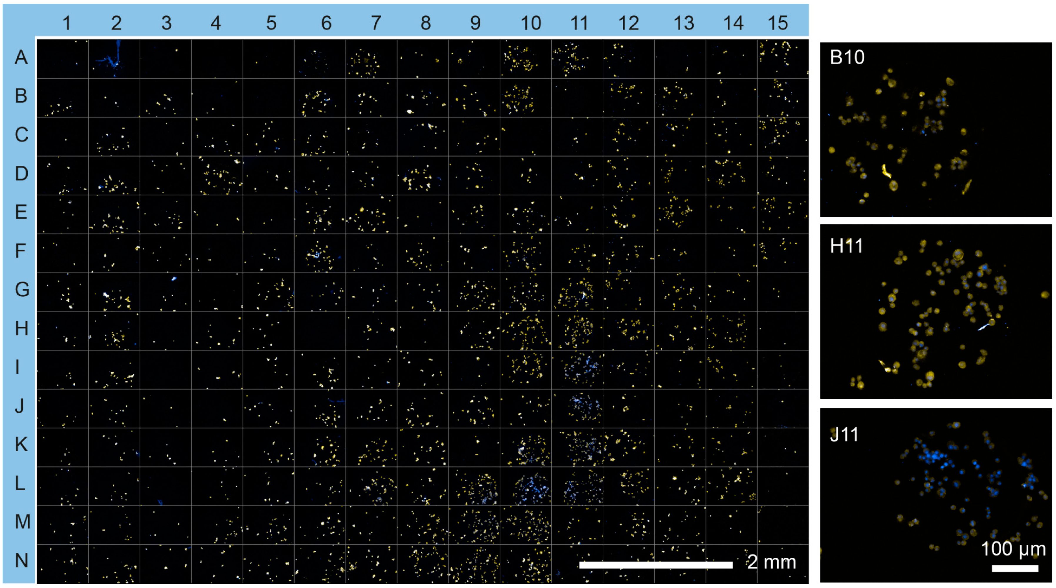 Microarrays 05 00021 g004