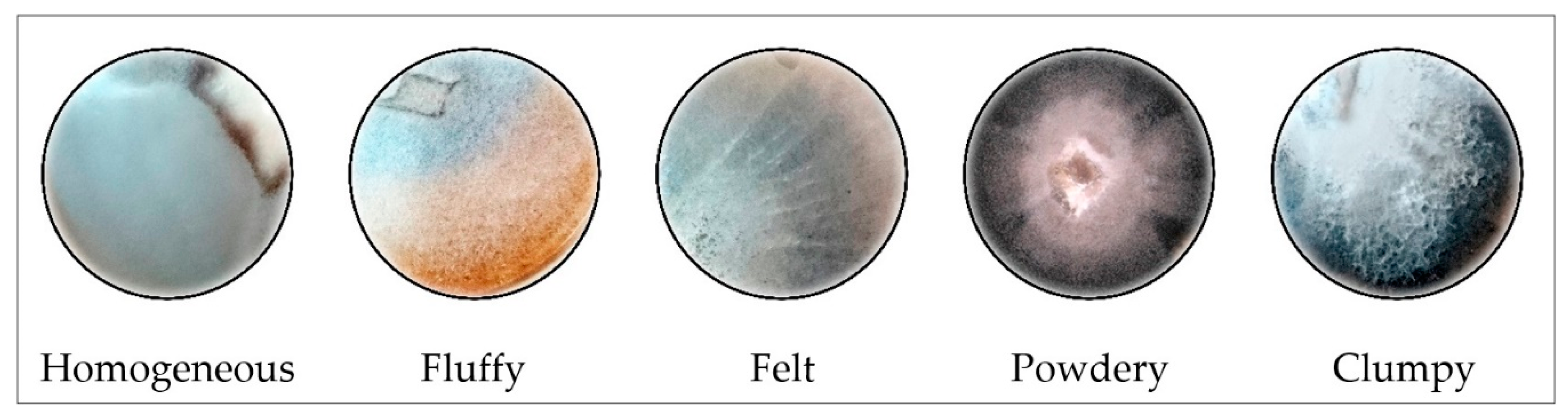 Microbiolres 12 00003 g002 550