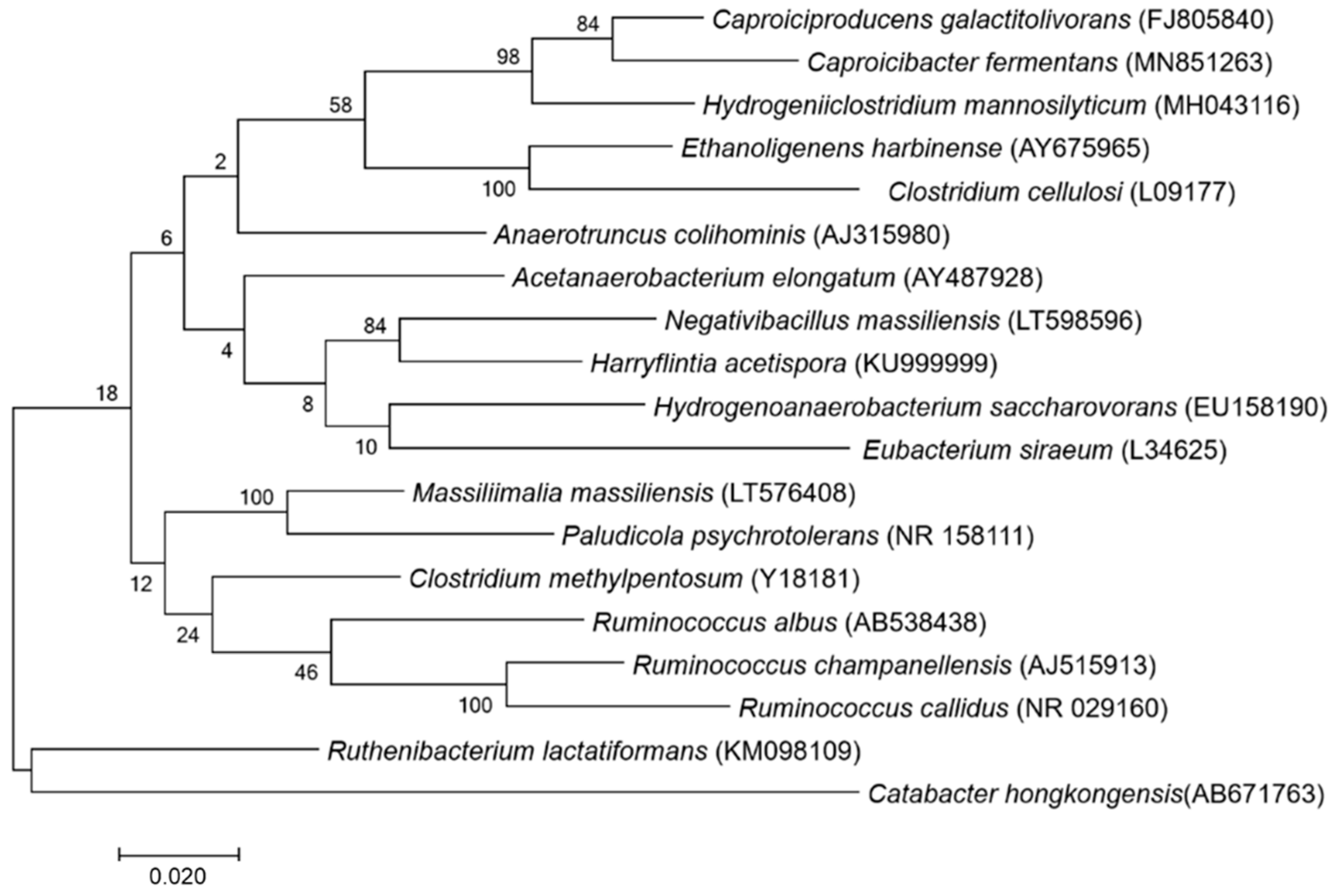 Microbiolres 12 00004 g001 Microbiolres 12 00004 g001