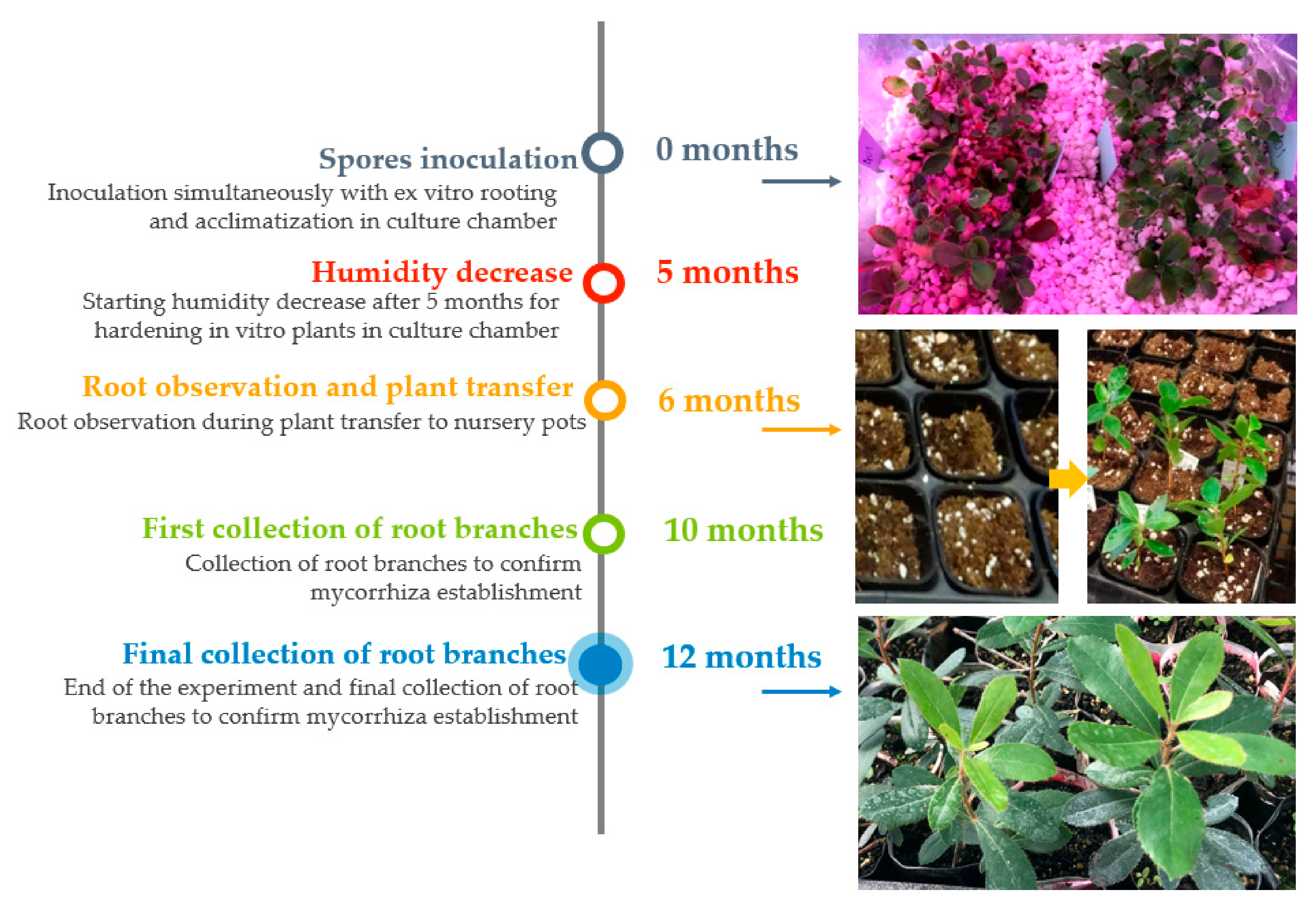Microbiolres 12 00007 g002 Microbiolres 12 00007 g002