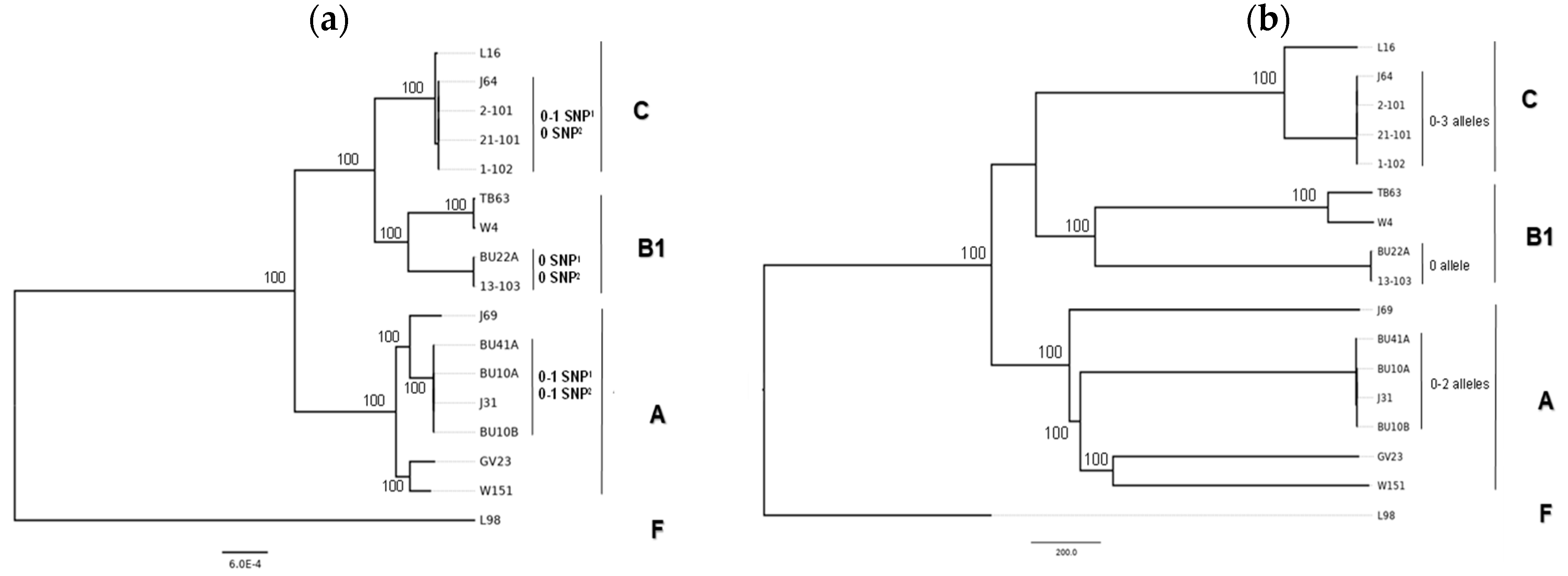 Microbiolres 12 00009 g001 Microbiolres 12 00009 g001