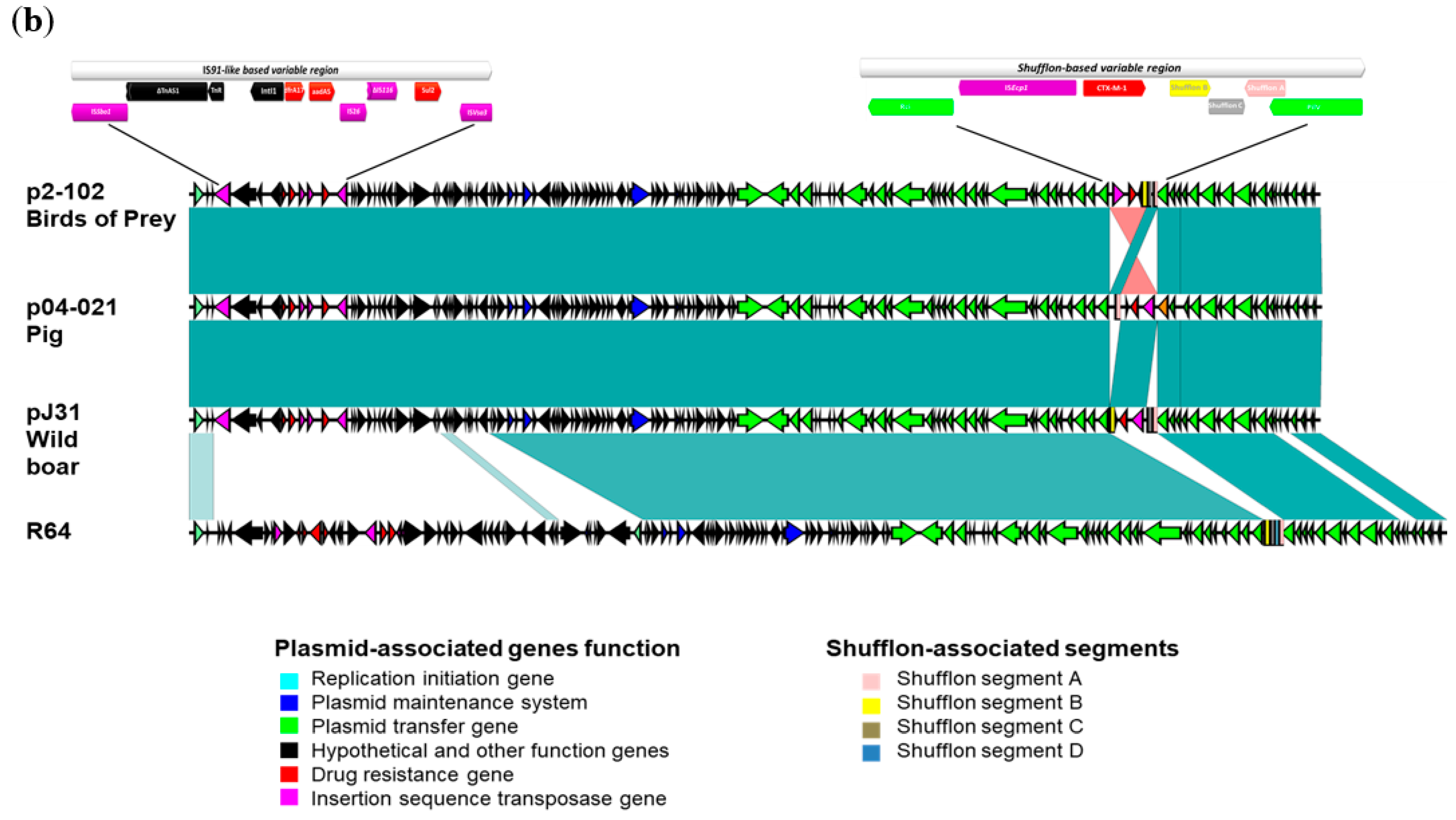 Microbiolres 12 00009 g002b Microbiolres 12 00009 g002b