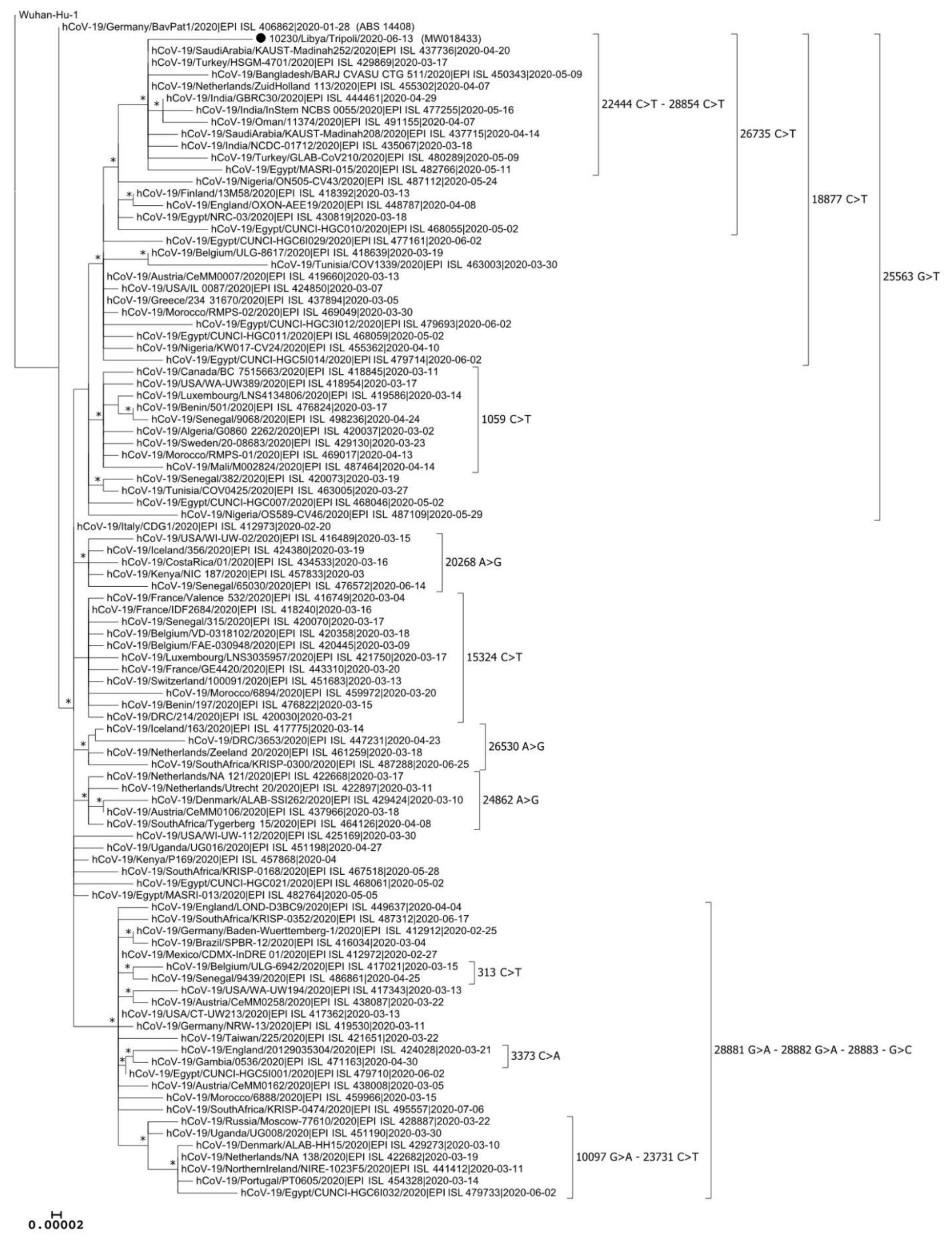 Microbiolres 12 00010 g004 Microbiolres 12 00010 g004