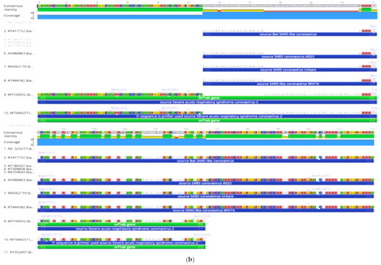 In-Silico Pangenomics of SARS-CoV-2 Isolates Reveal Evidence