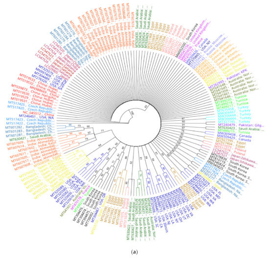 In-Silico Pangenomics of SARS-CoV-2 Isolates Reveal Evidence for