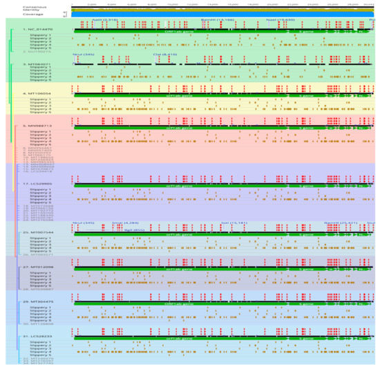 In-Silico Pangenomics of SARS-CoV-2 Isolates Reveal Evidence