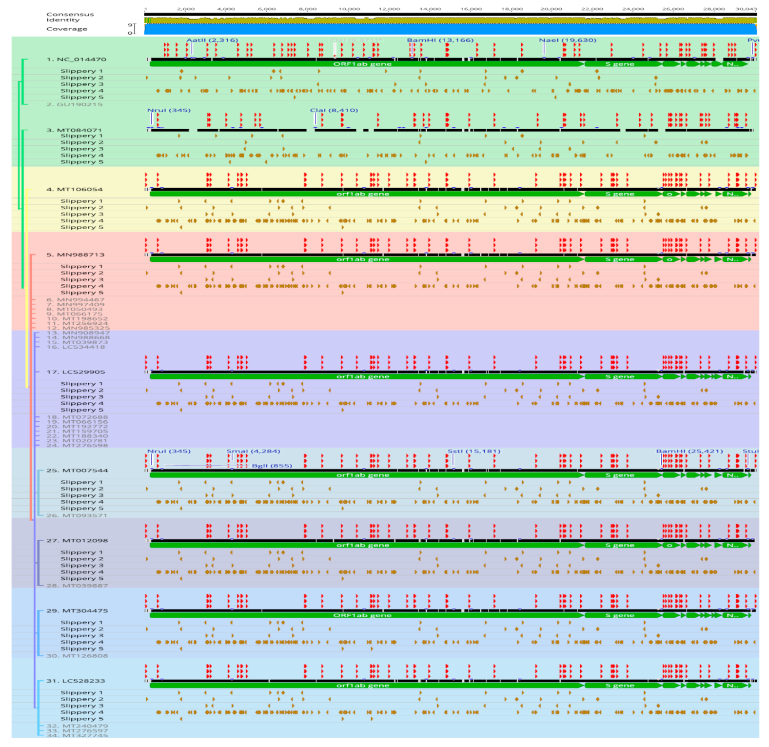 Microbiolres 12 00016 g005