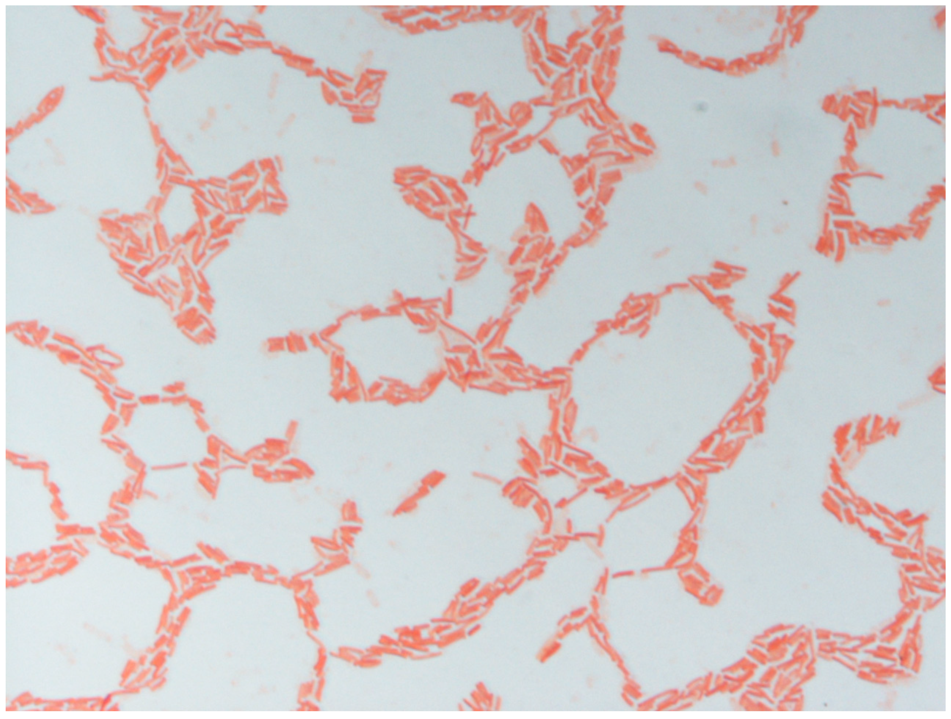 Microbiolres 12 00021 g002 Microbiolres 12 00021 g002