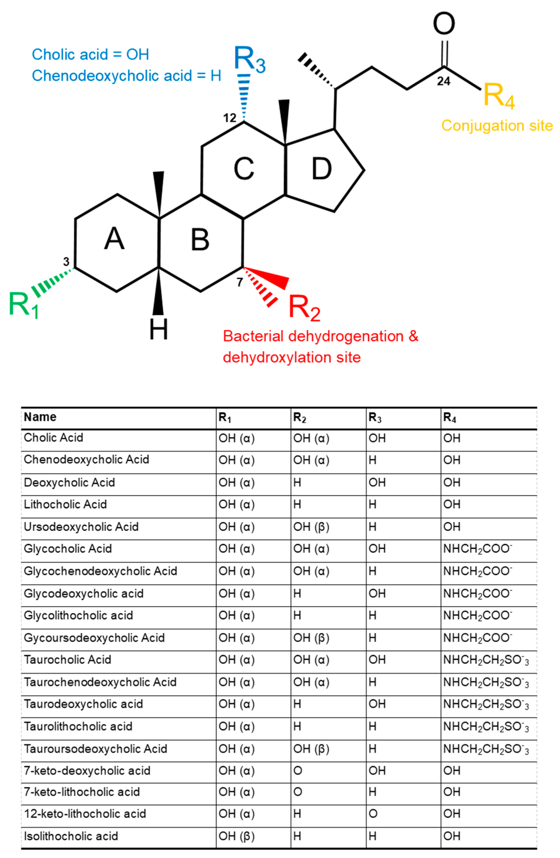 Microbiolres 12 00023 g001