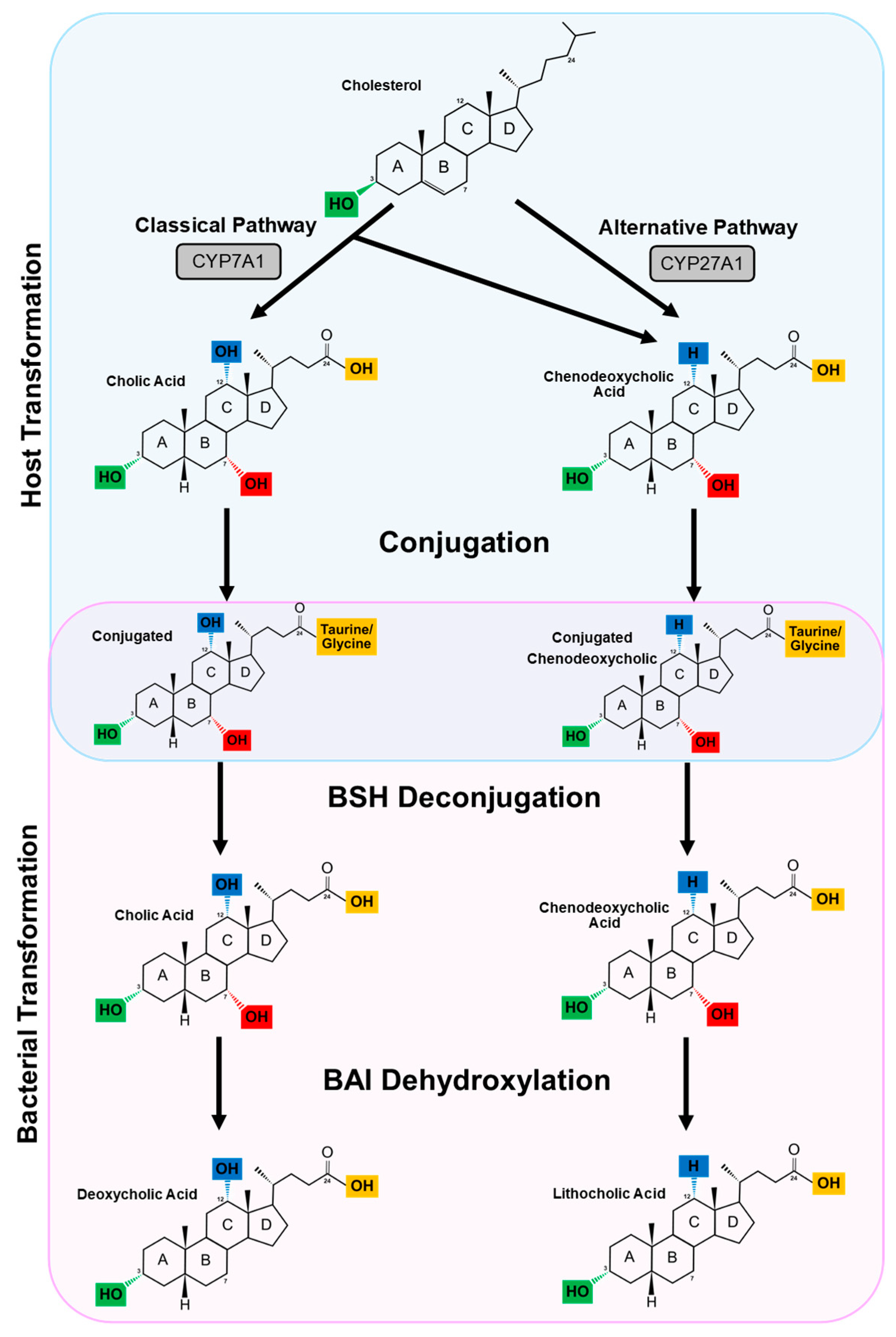 Microbiolres 12 00023 g002