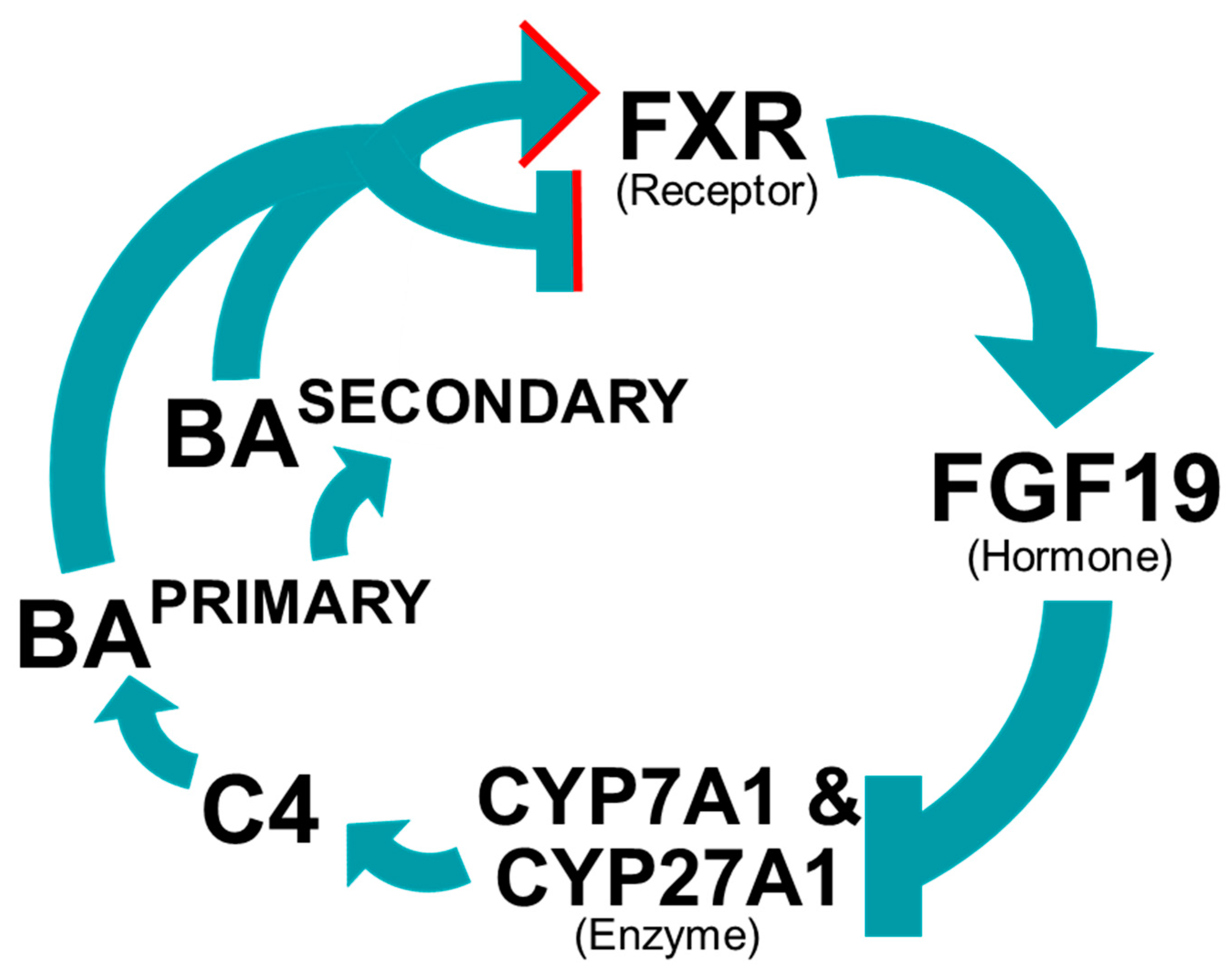 Microbiolres 12 00023 g003