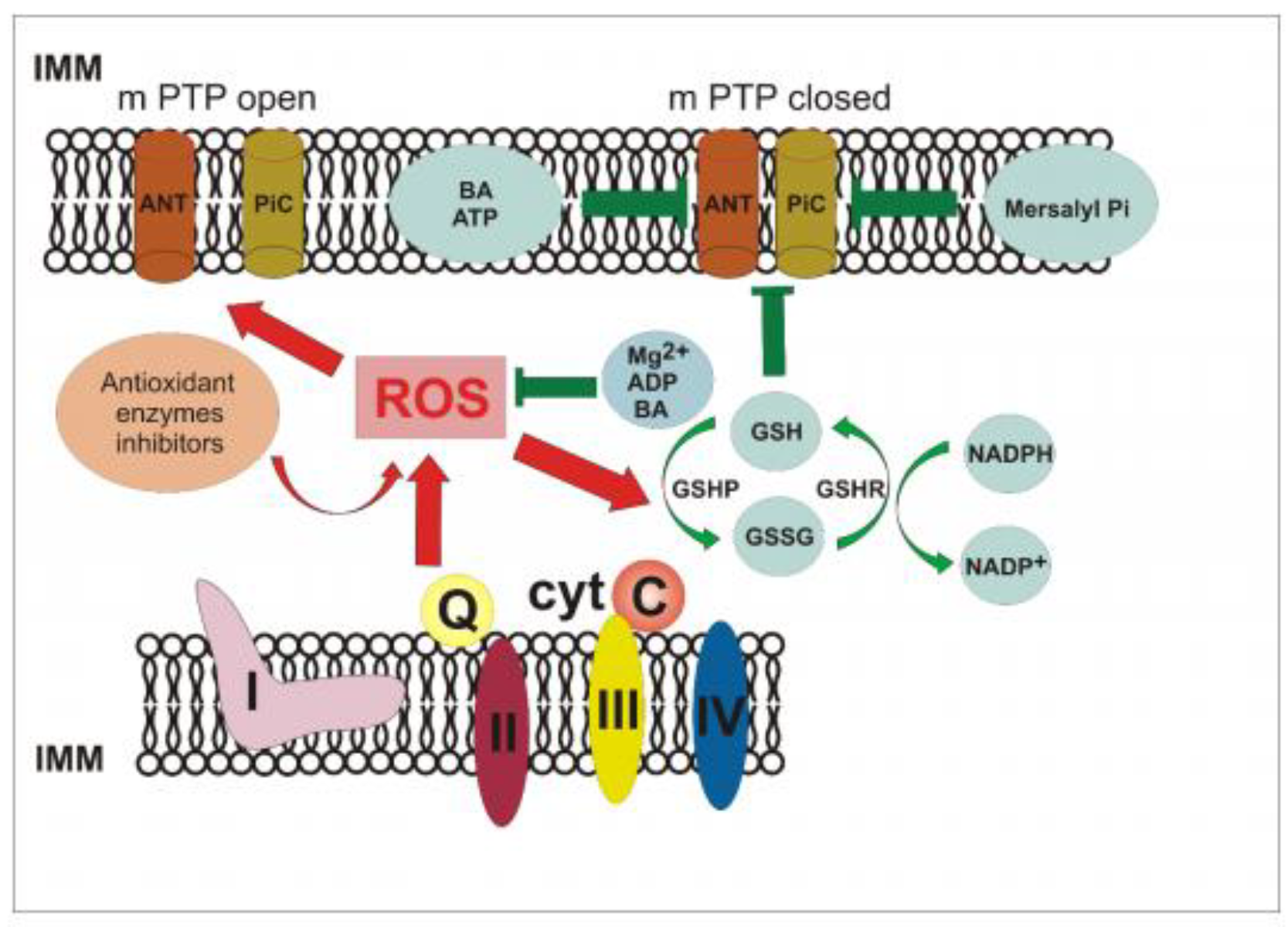 Microbiolres 12 00029 g008