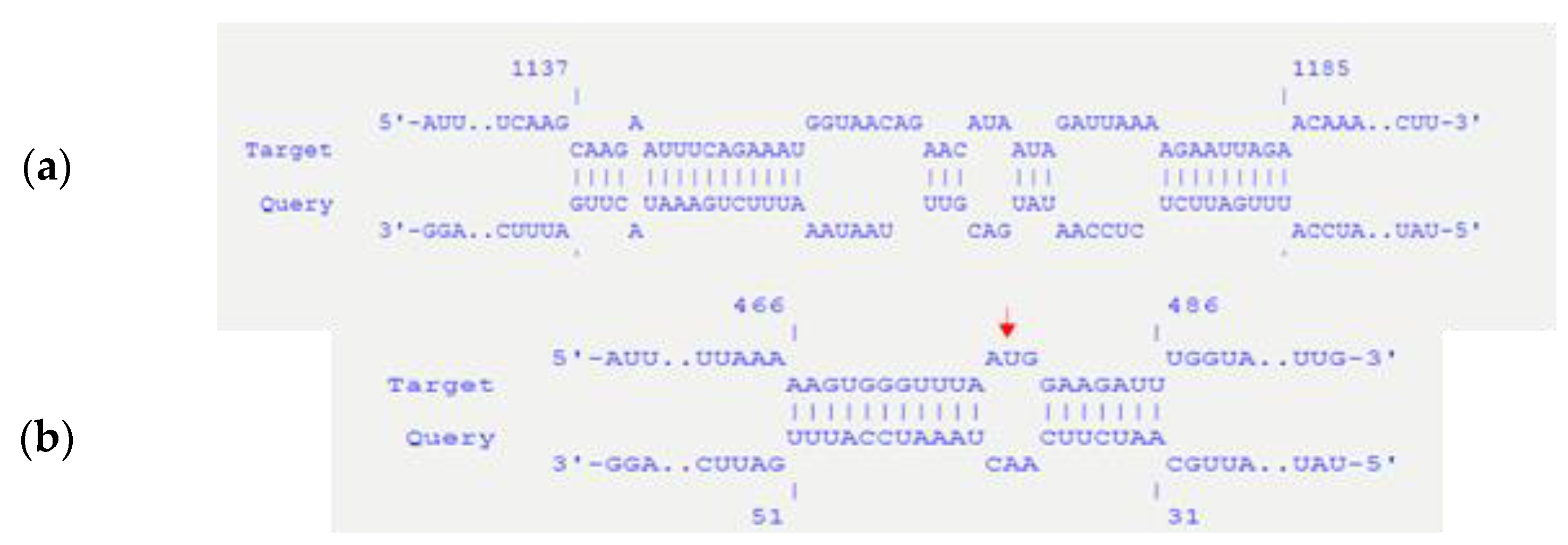 Microbiolres 12 00031 g003 Microbiolres 12 00031 g003