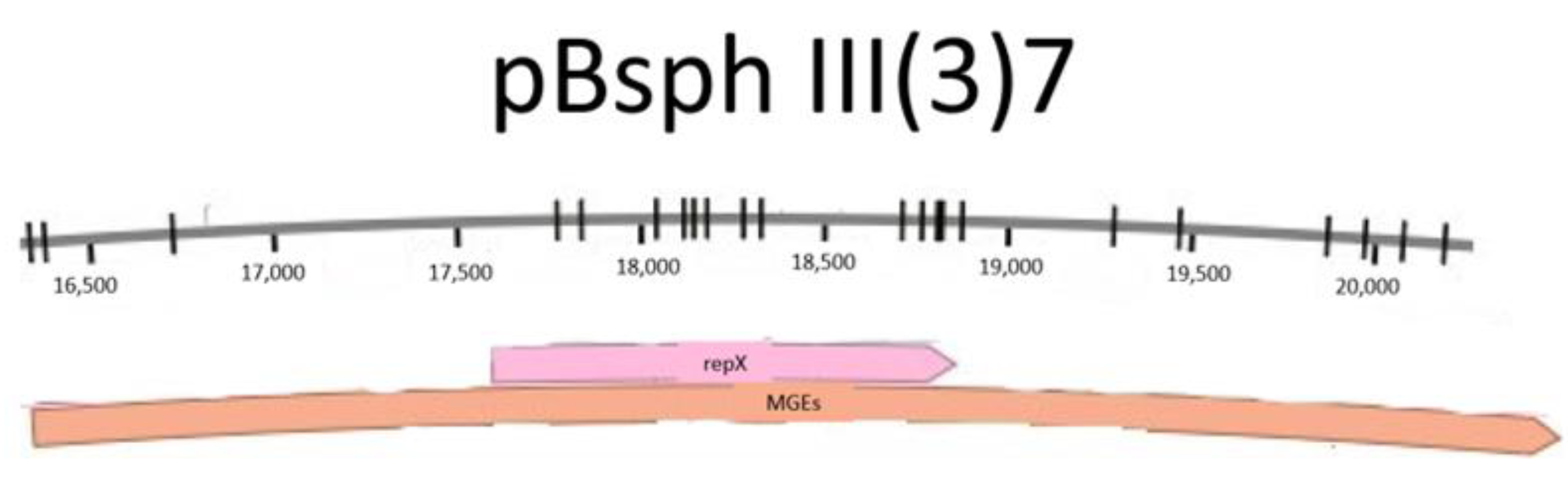 Microbiolres 12 00031 g005 Microbiolres 12 00031 g005