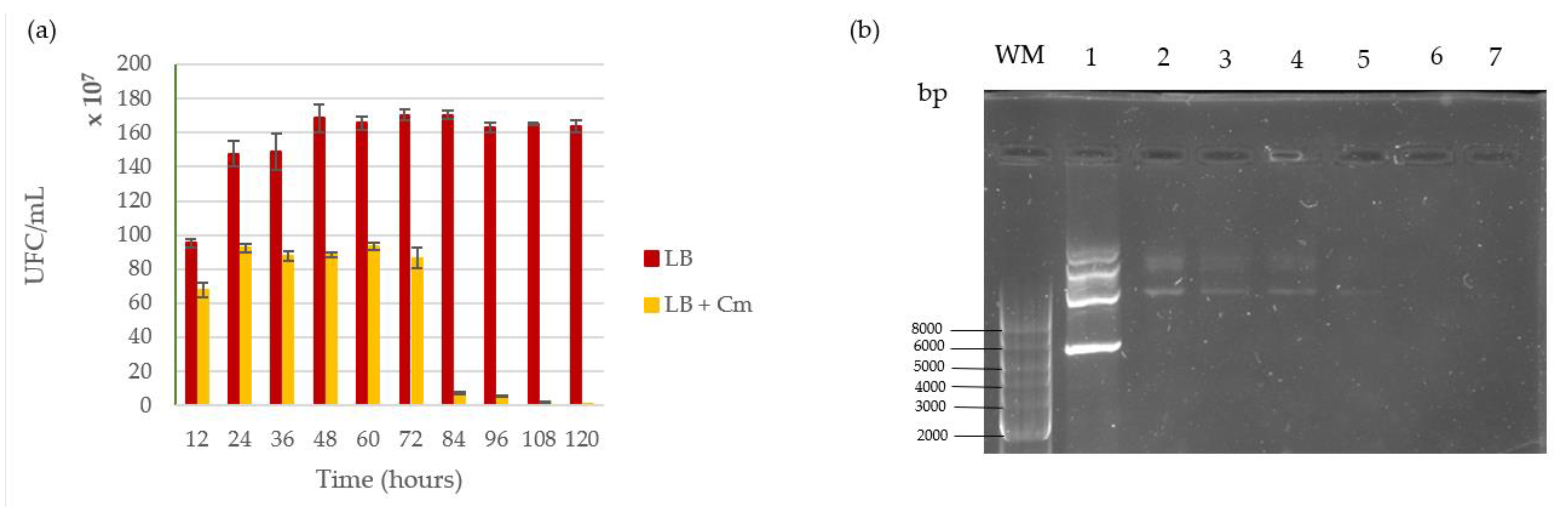 Microbiolres 12 00031 g006 Microbiolres 12 00031 g006
