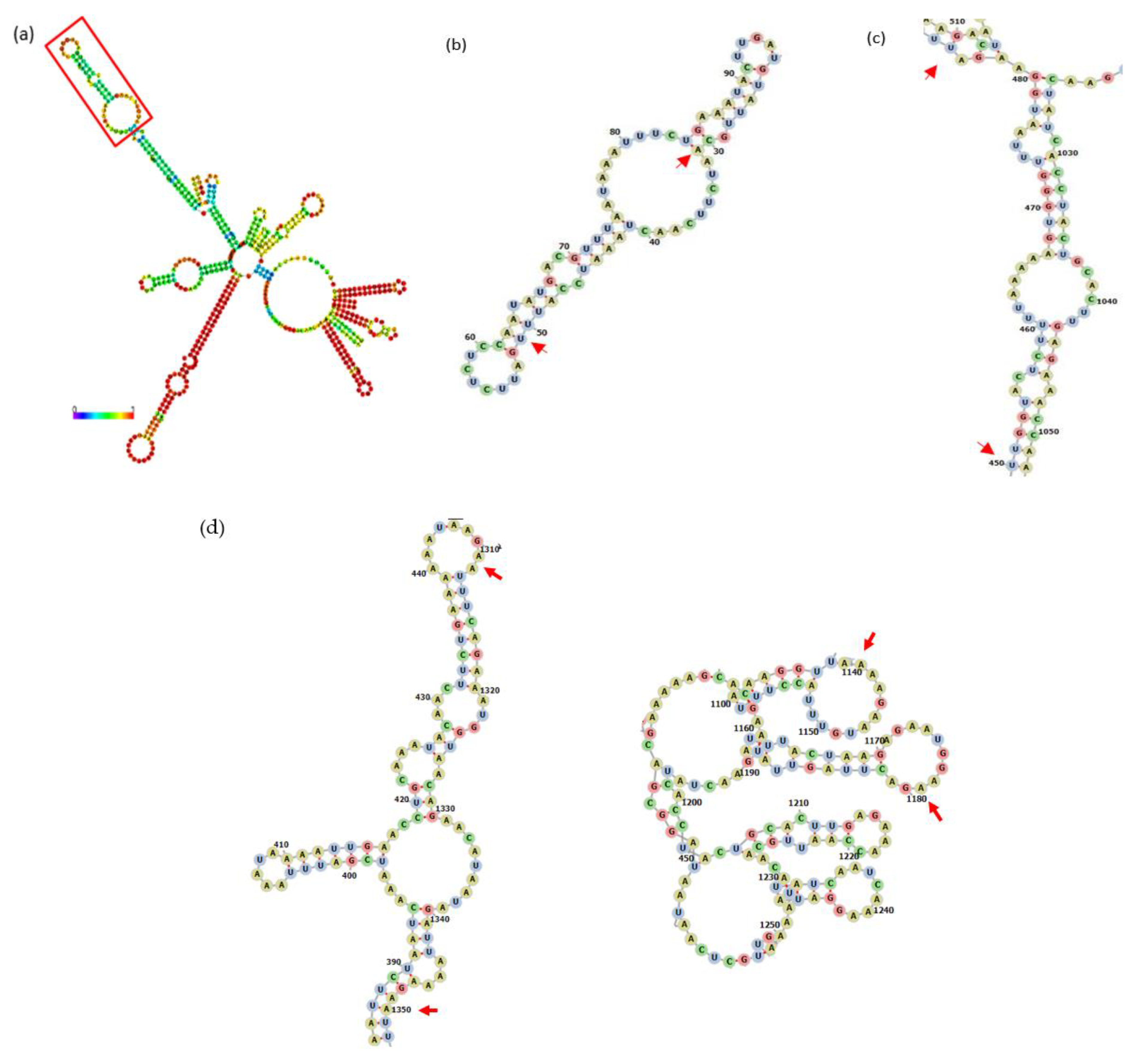 Microbiolres 12 00031 g013 Microbiolres 12 00031 g013
