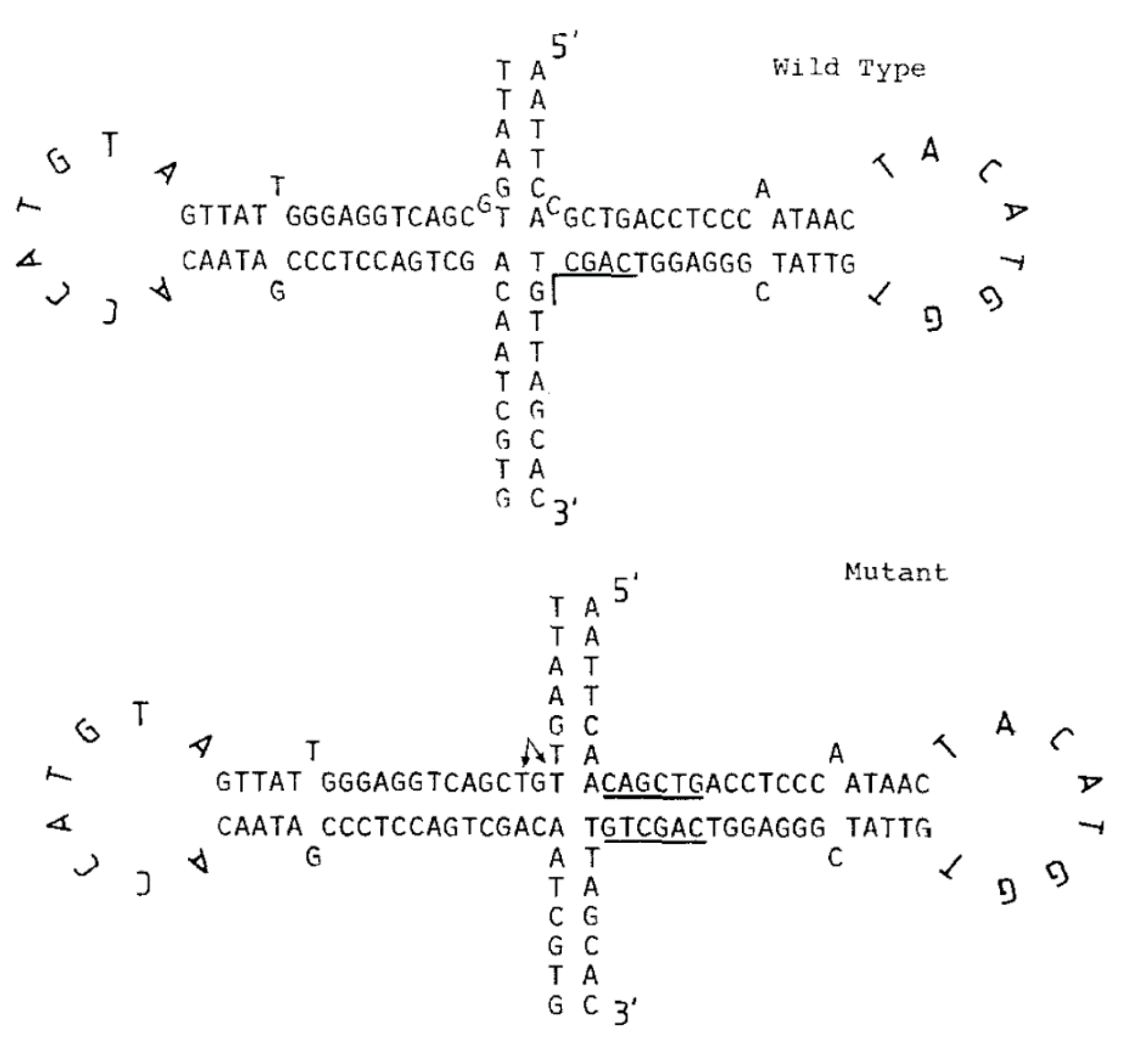 Microbiolres 12 00031 g014 Microbiolres 12 00031 g014