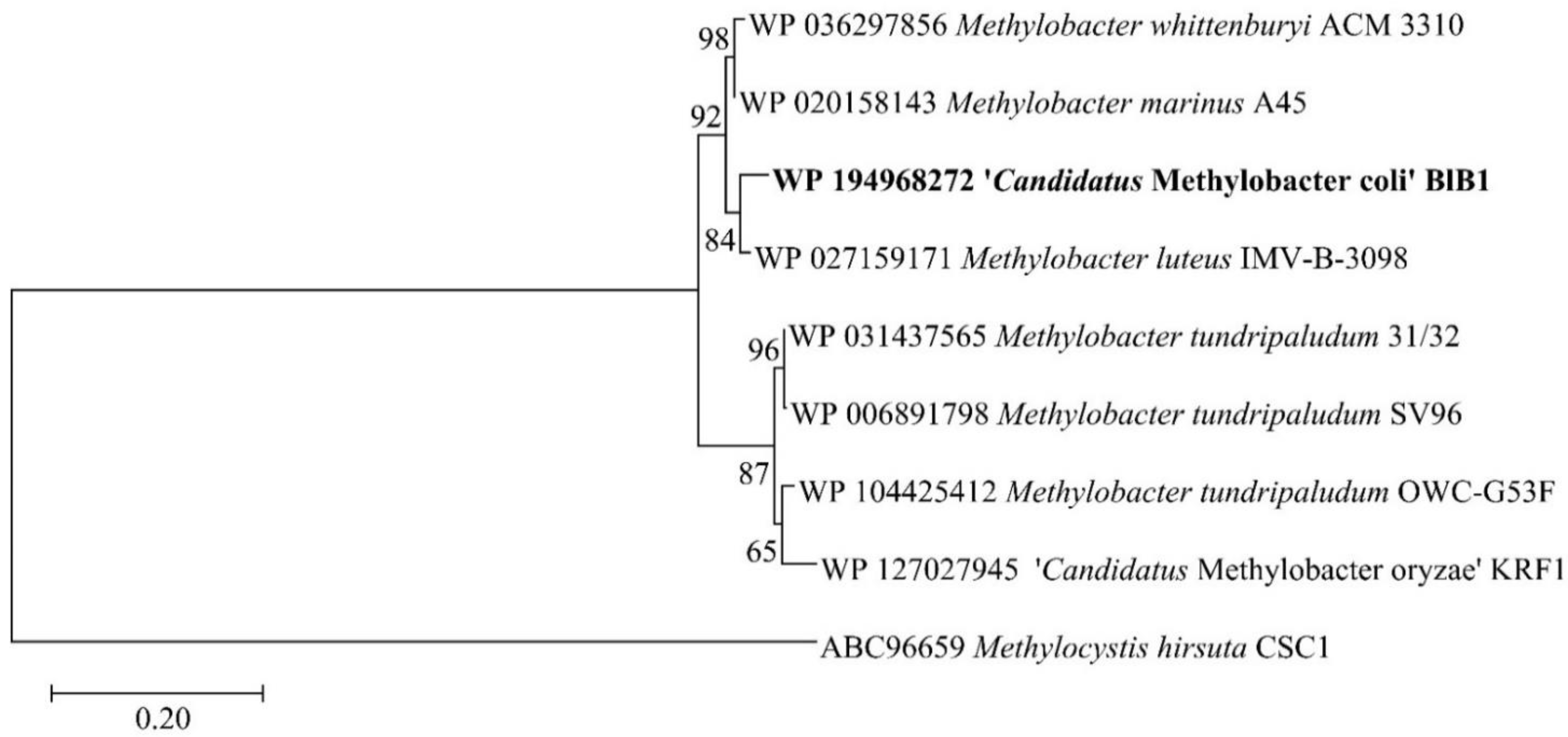 Microbiolres 12 00035 g003 Microbiolres 12 00035 g003