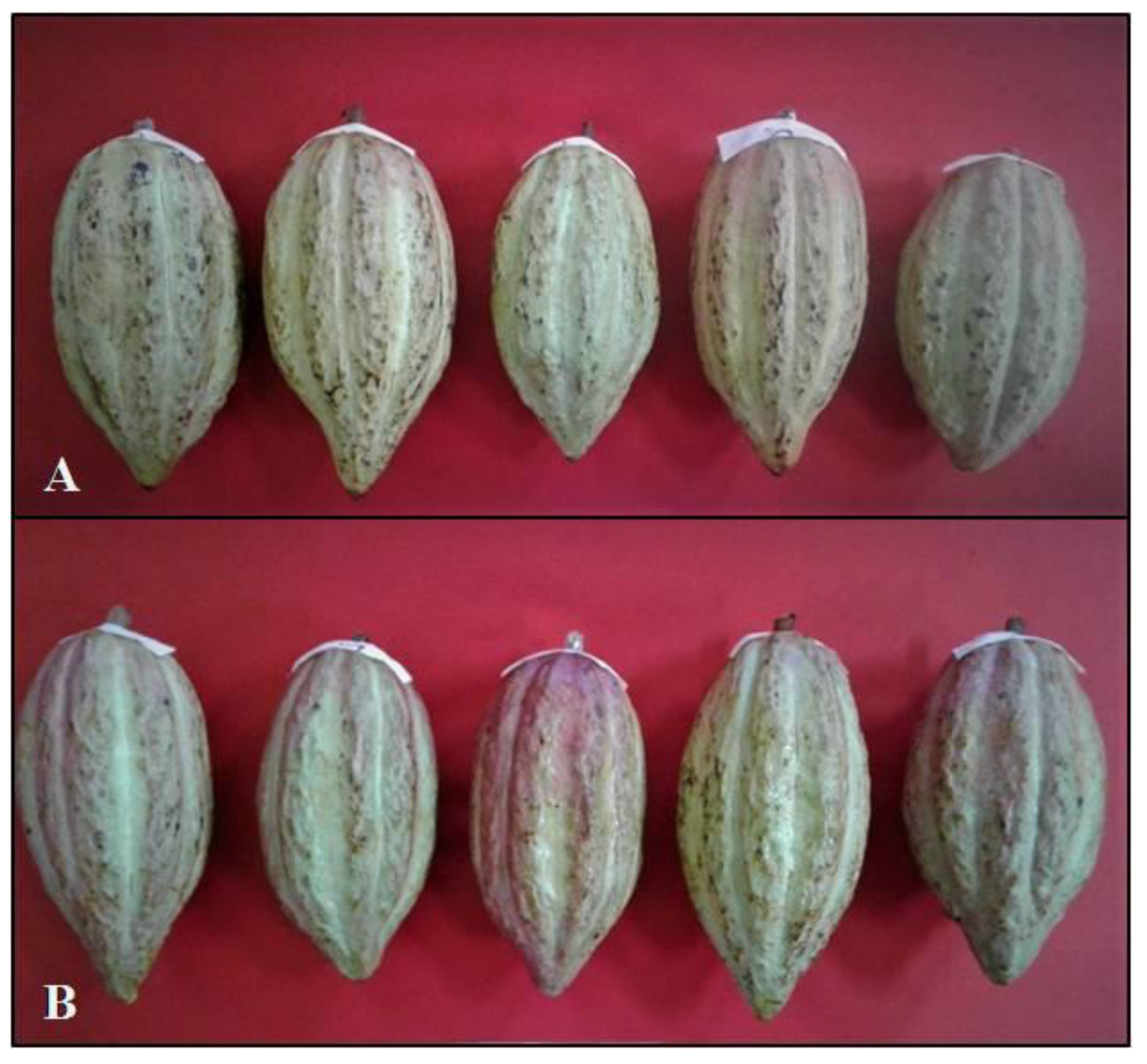 Microbiolres 12 00037 g001